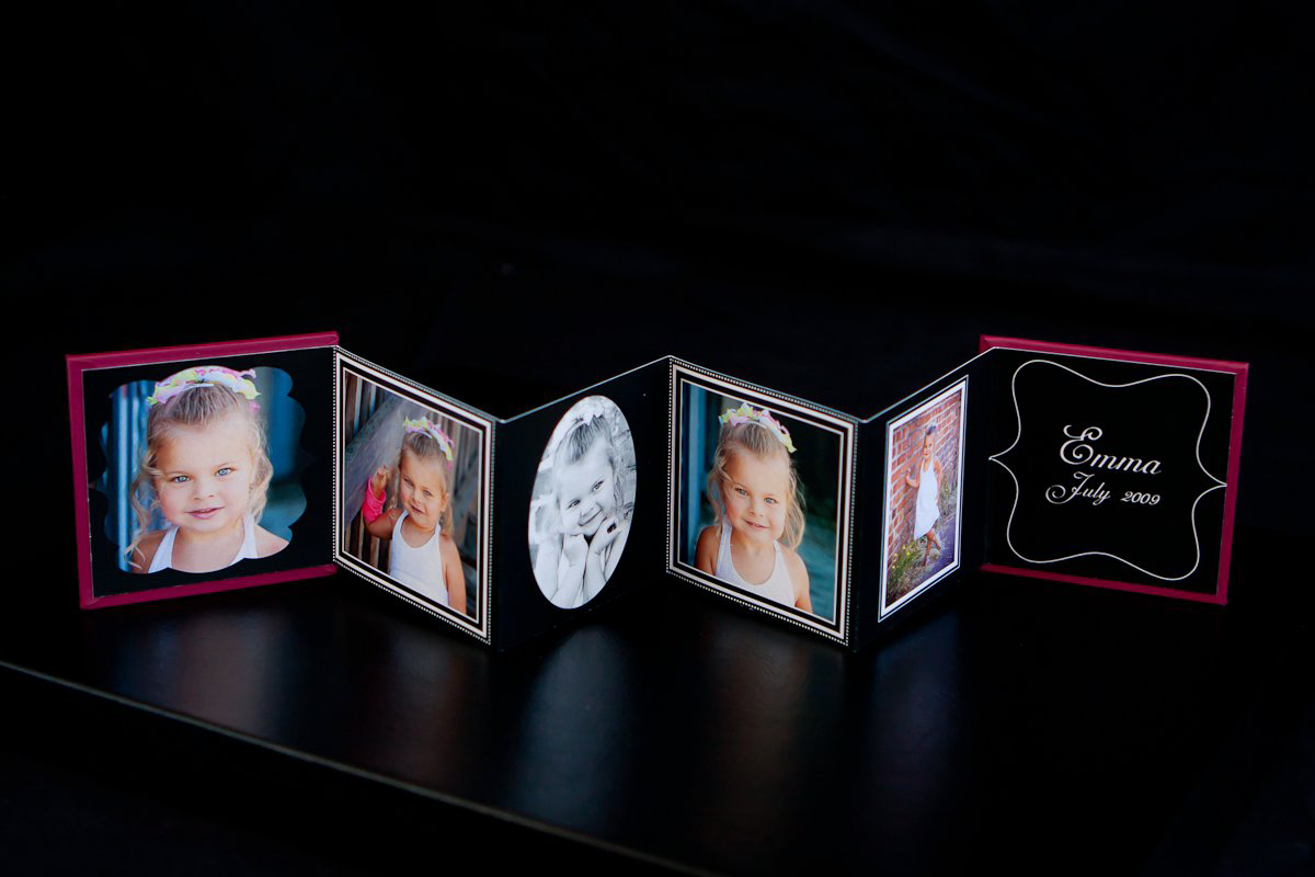 Accordion Mini Albums