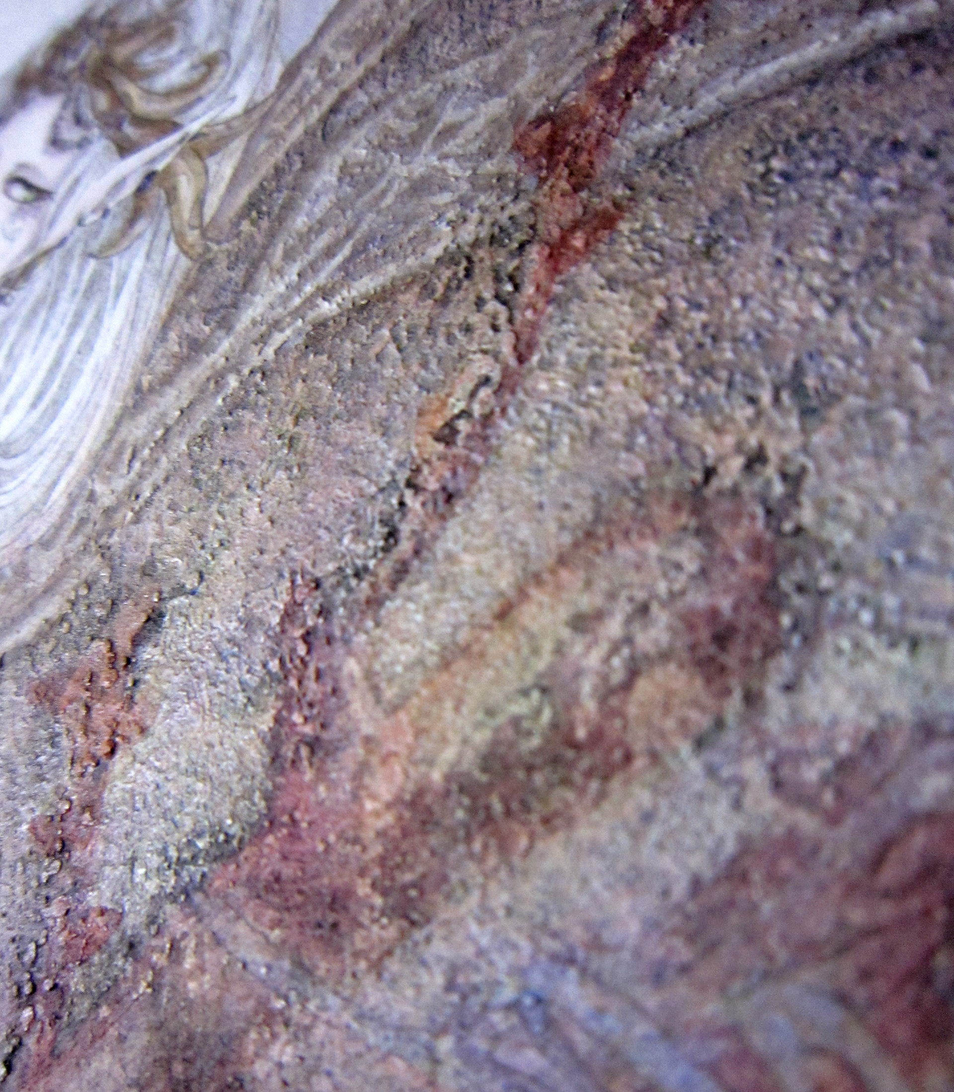 On the wings part, I used the modeling paste to create an embossed texture