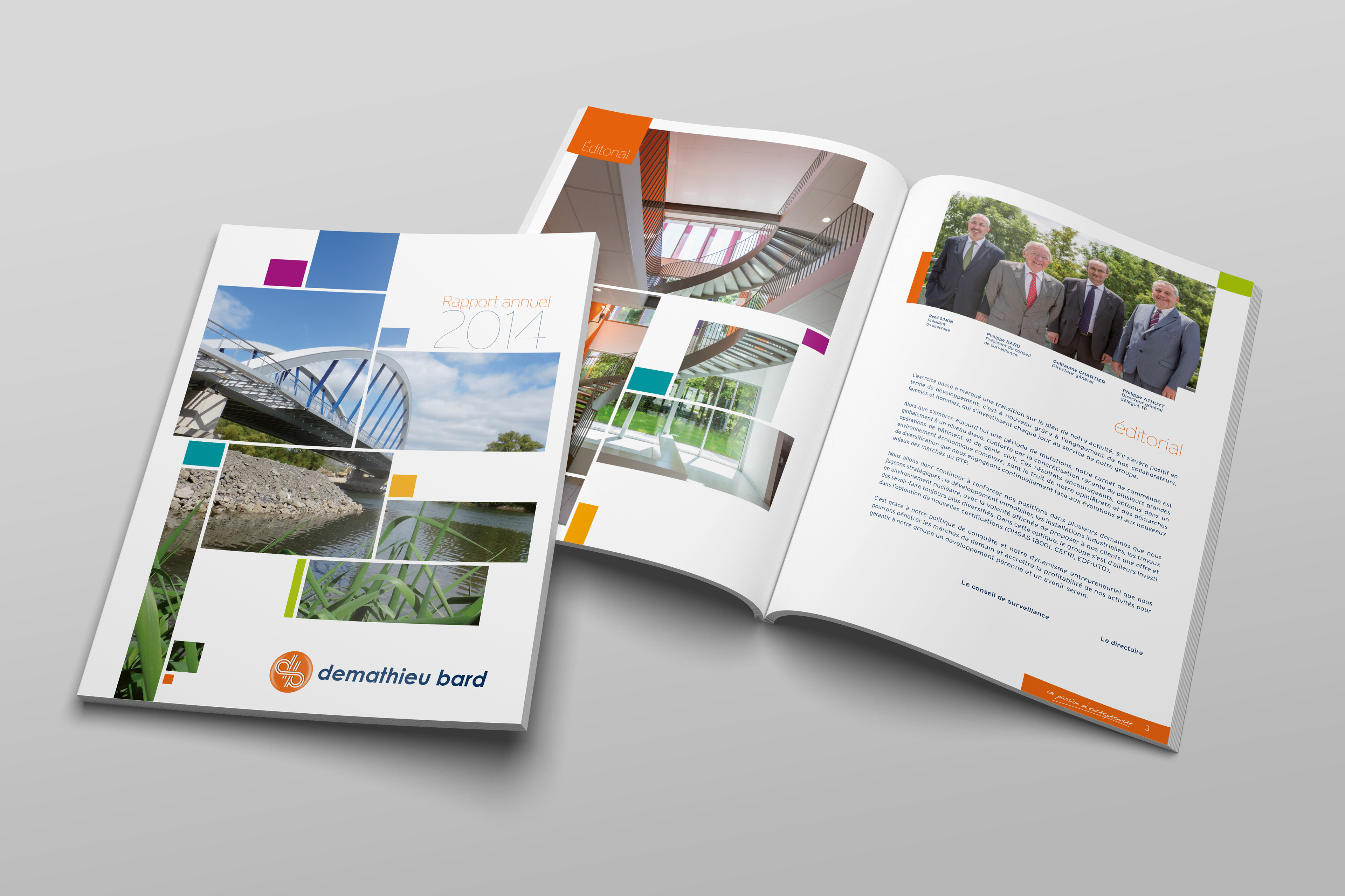 demathieu bard / Rapport d'activité 2014
