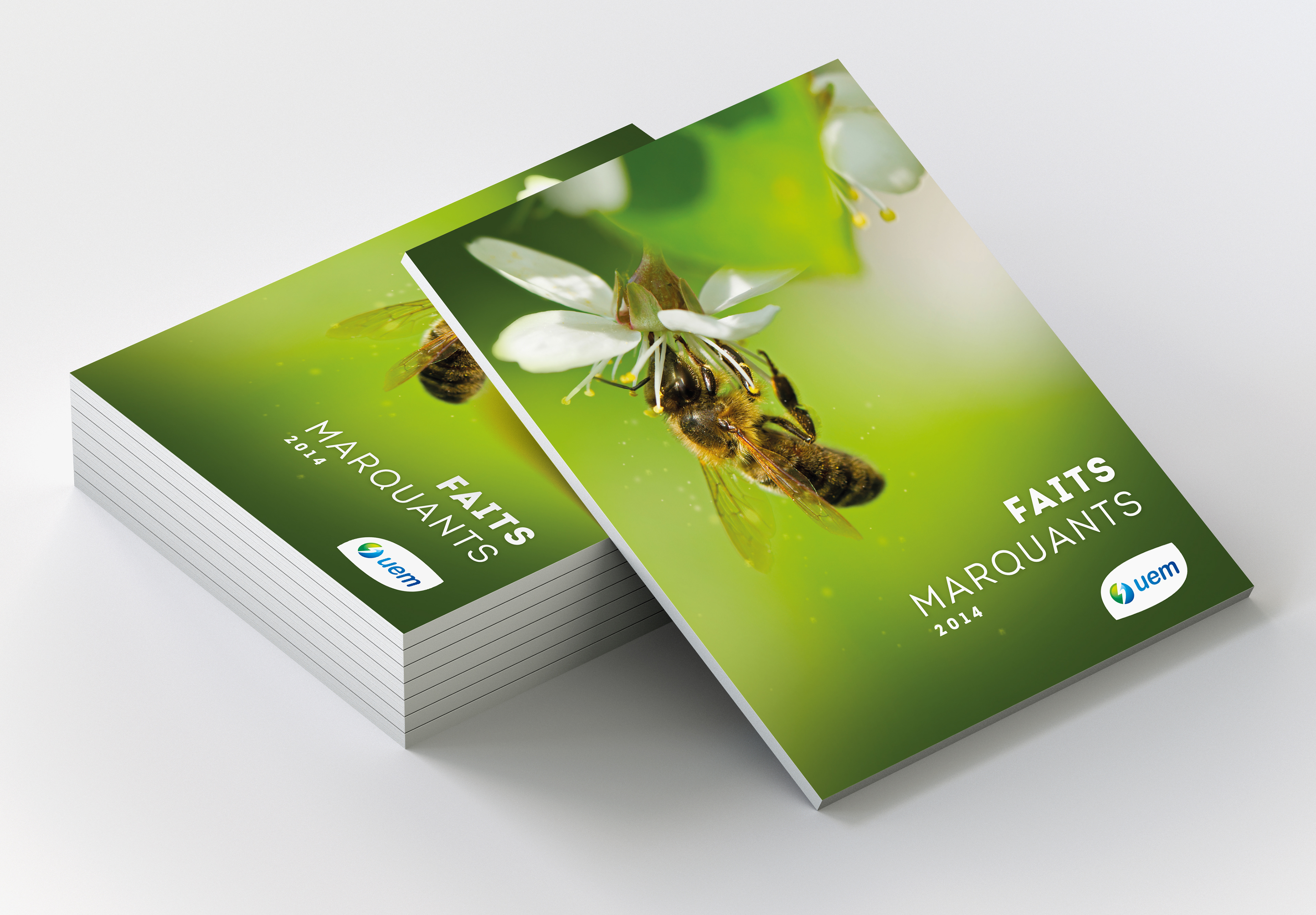 Rapport d'activités 2014 / UEM