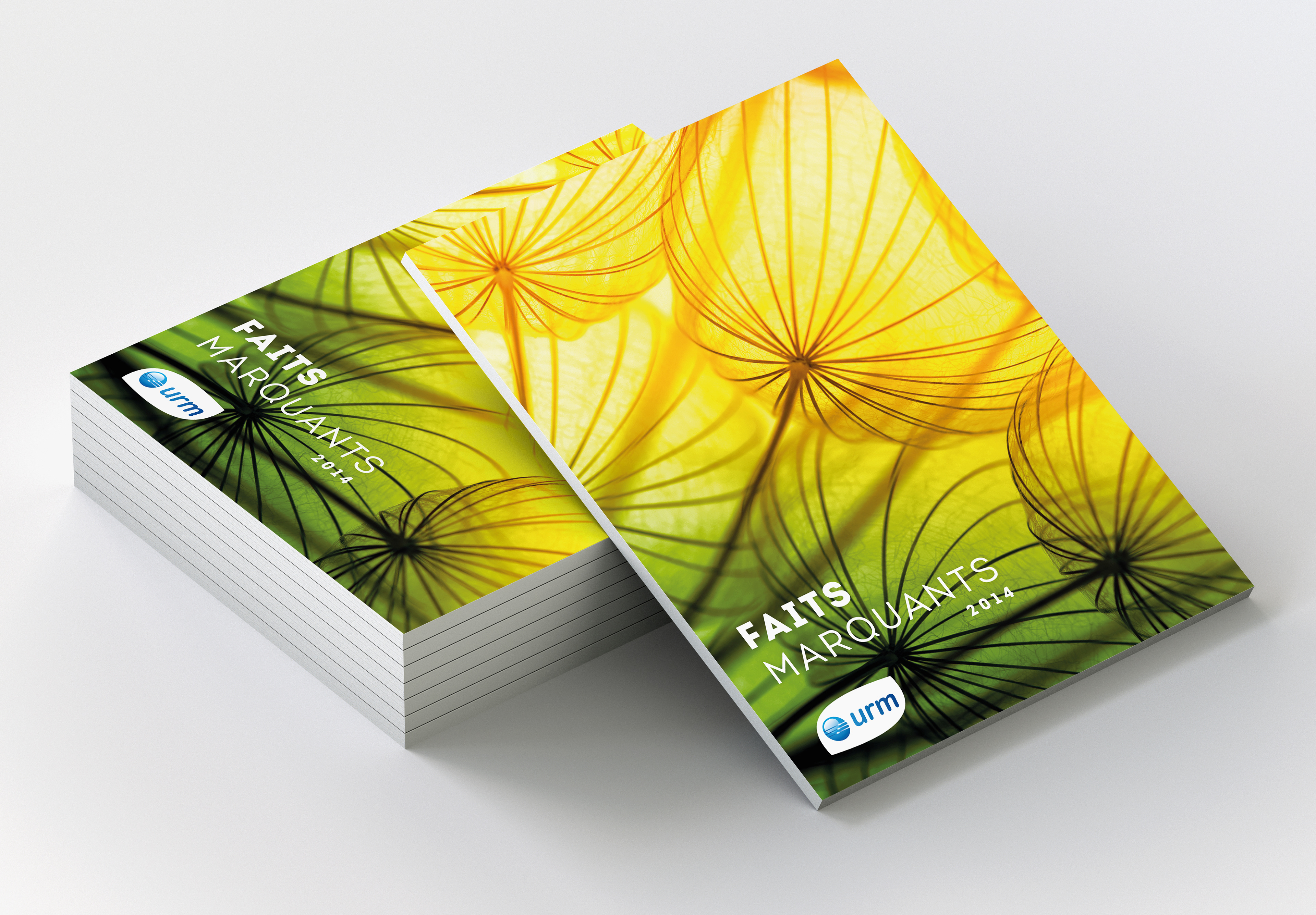 Rapport d'activités 2014 / URM