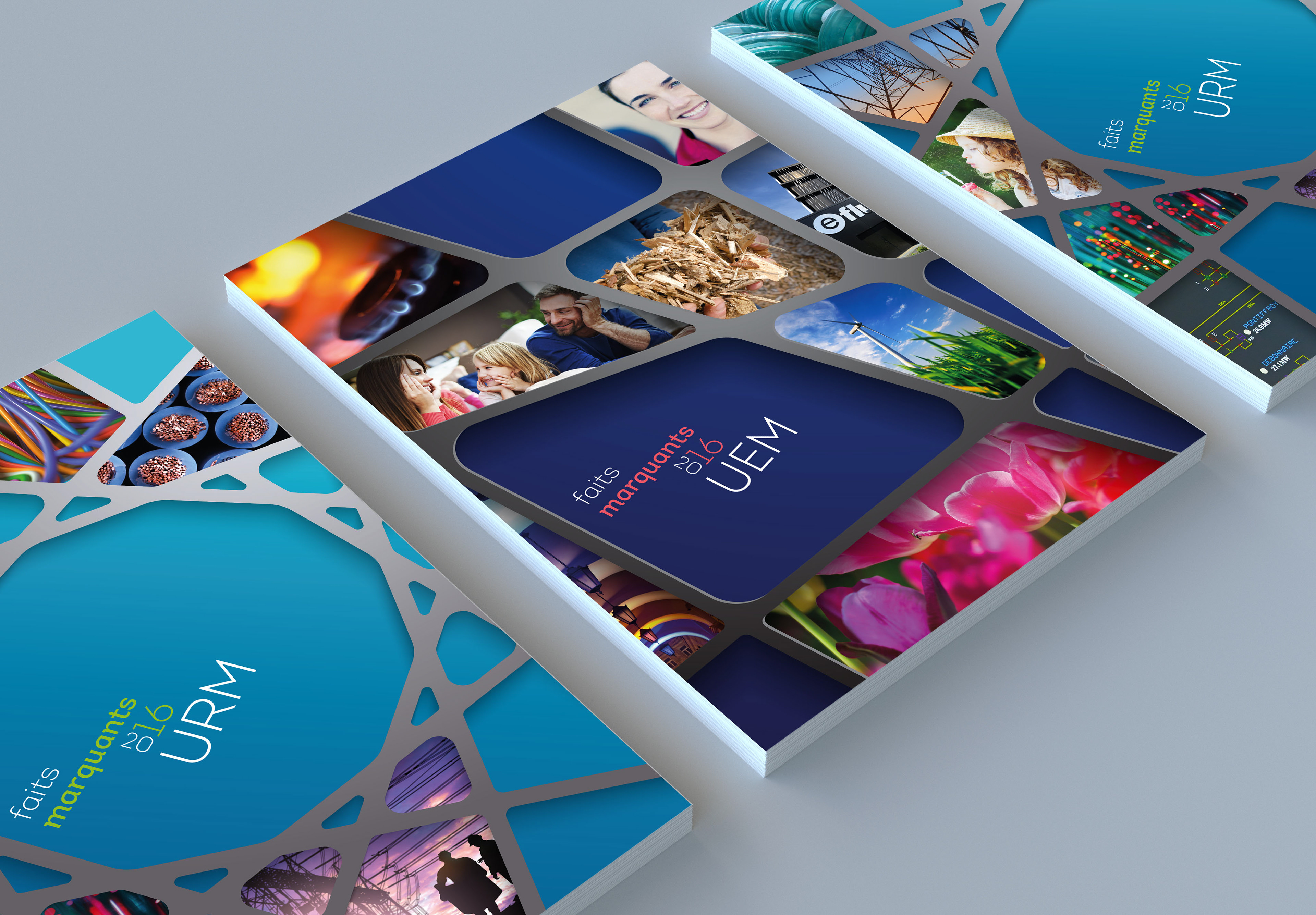 Rapport d'activités 2016 / UEM / URM