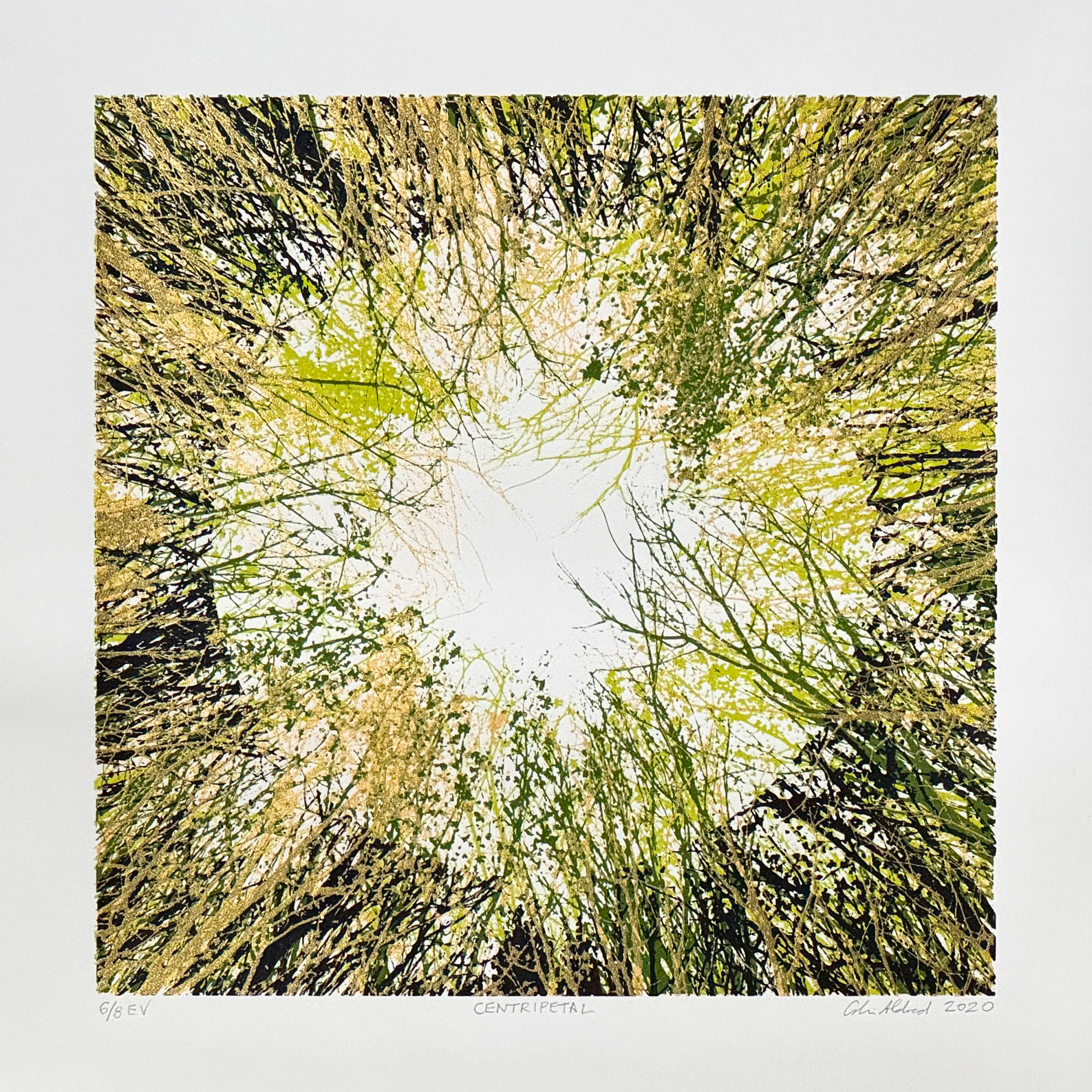 Centripetal 6