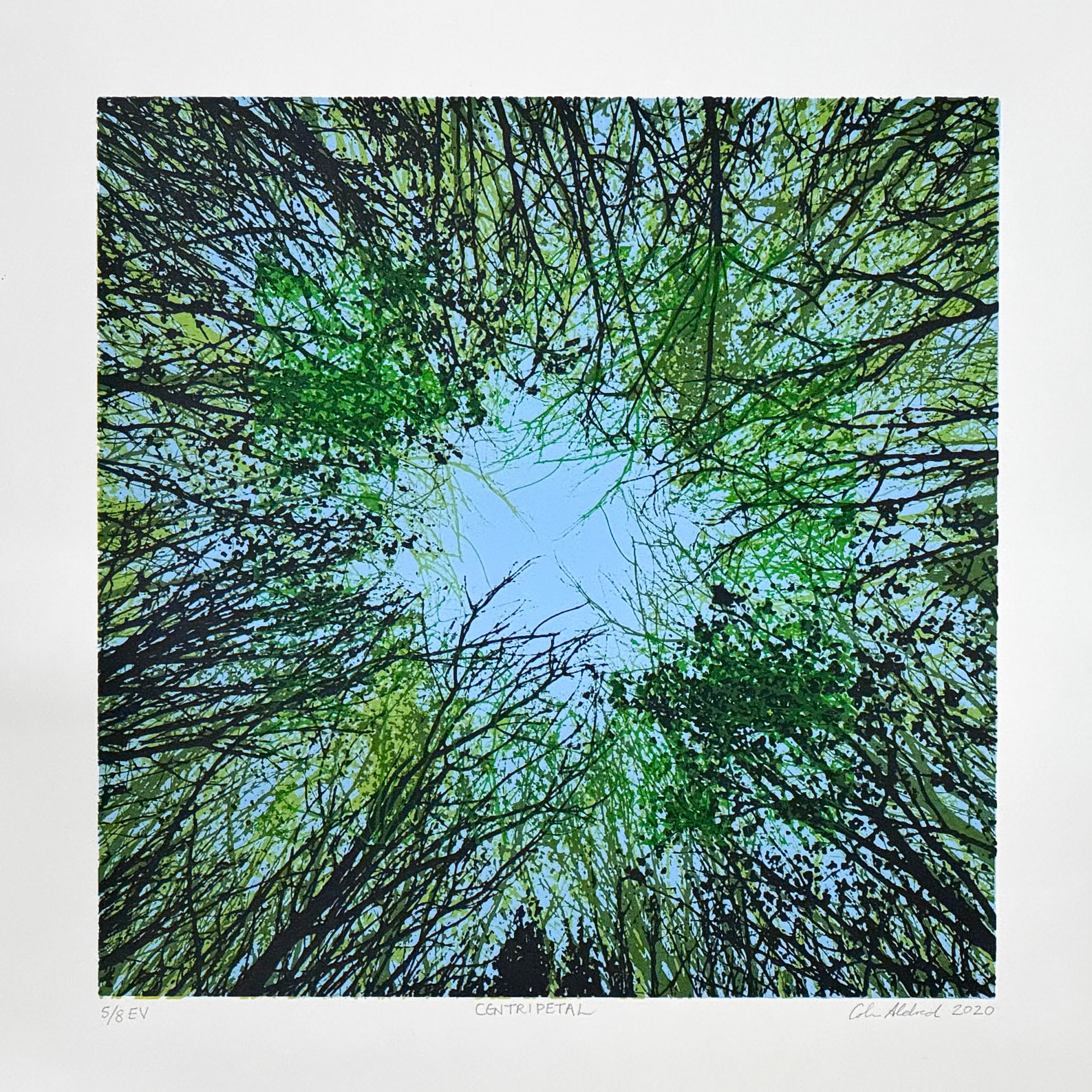 Centripetal 5