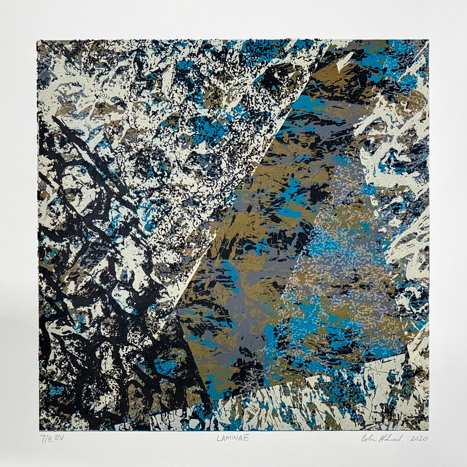 Laminae 7