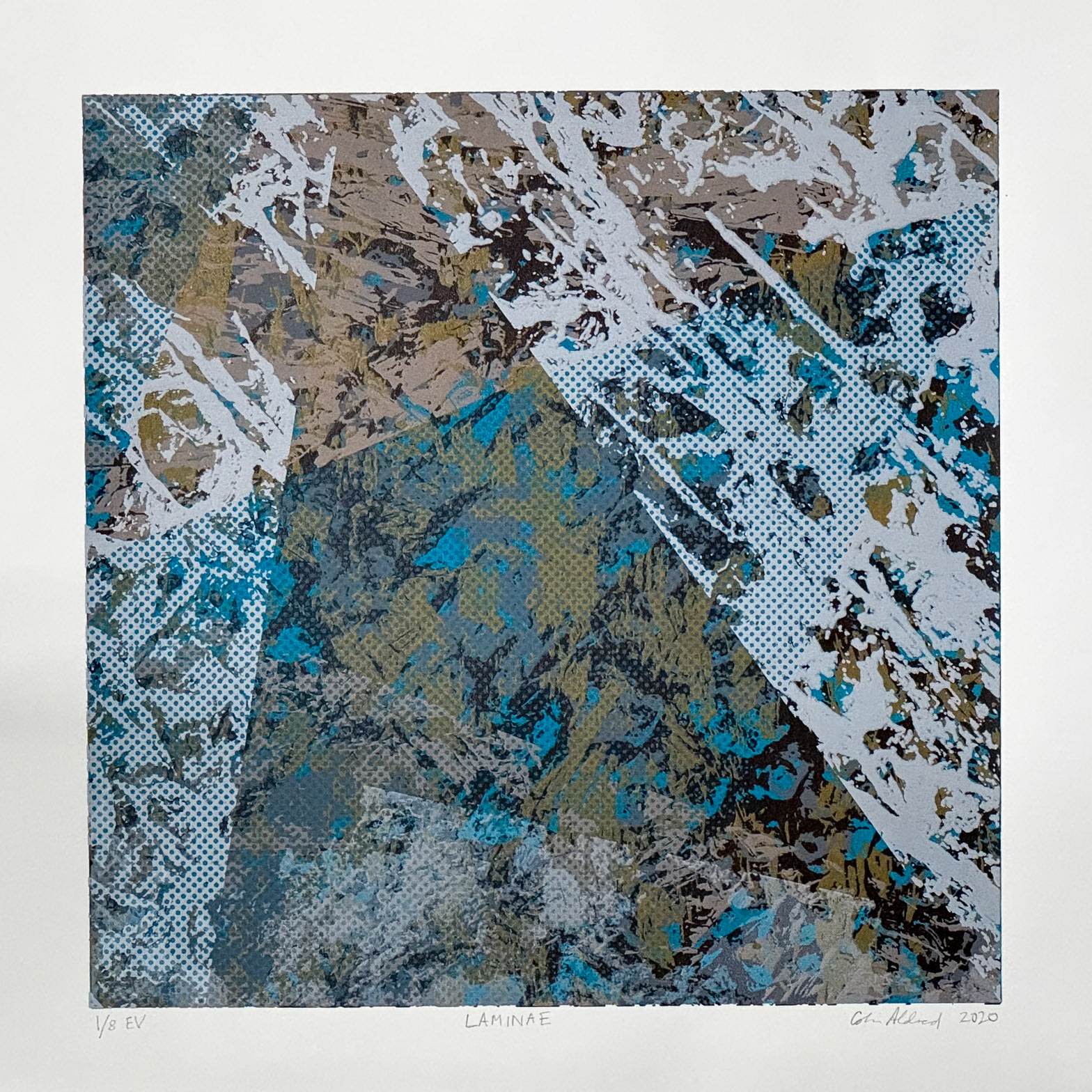Laminae 1
