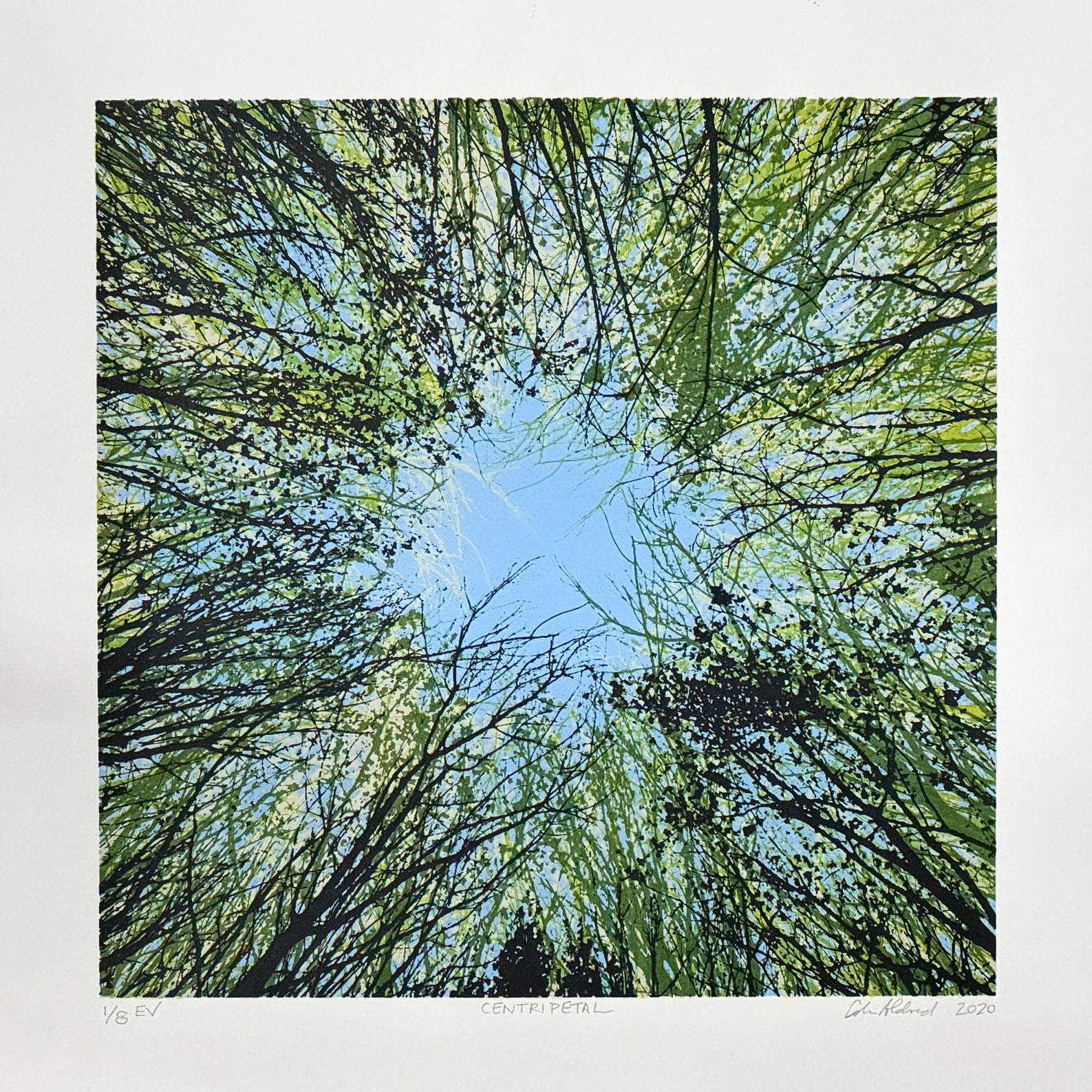 Centripetal 1