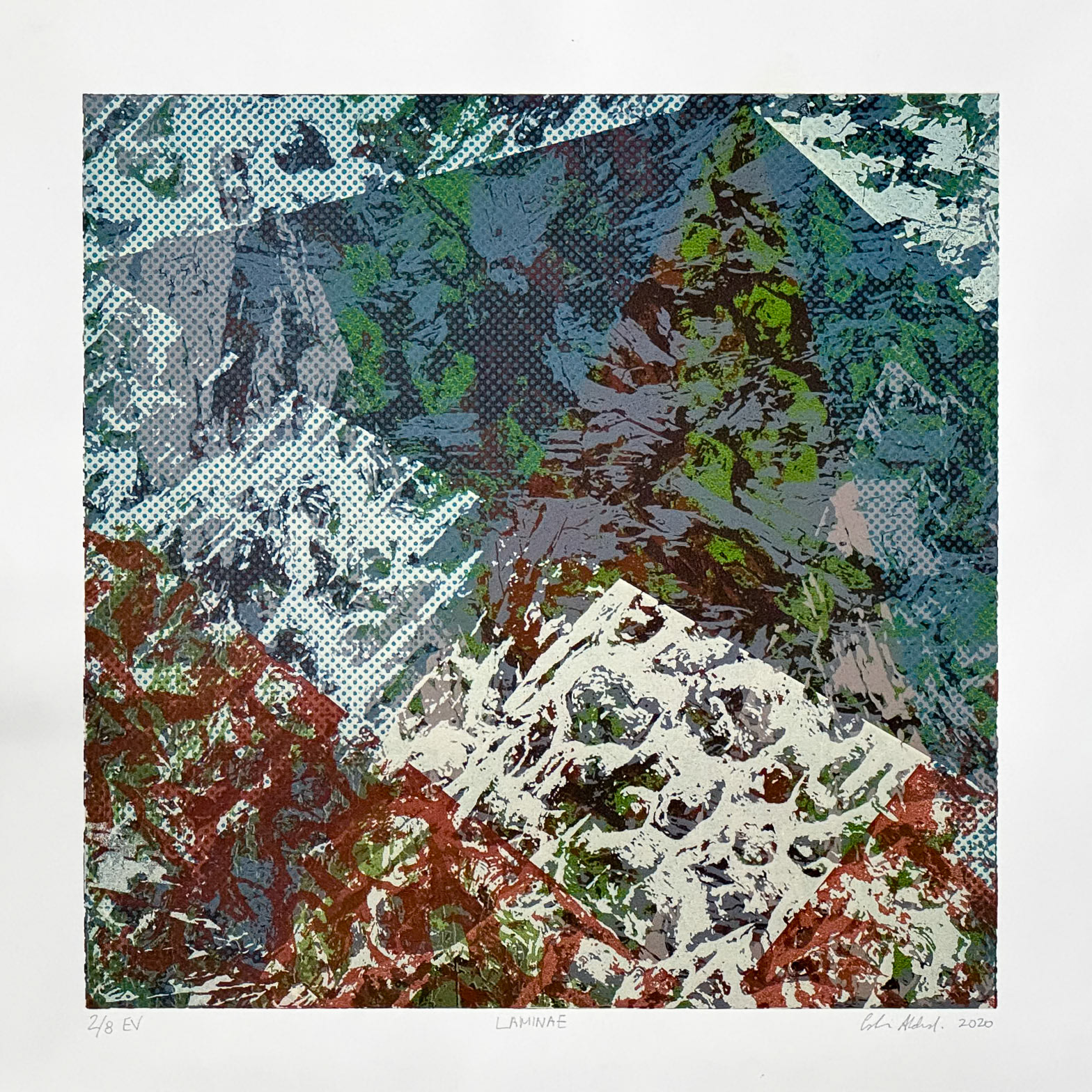 Laminae 2