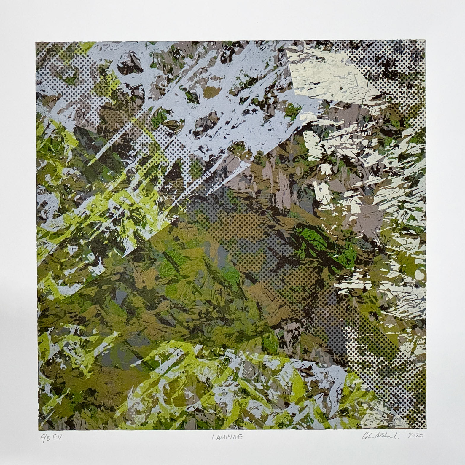 Laminae 6
