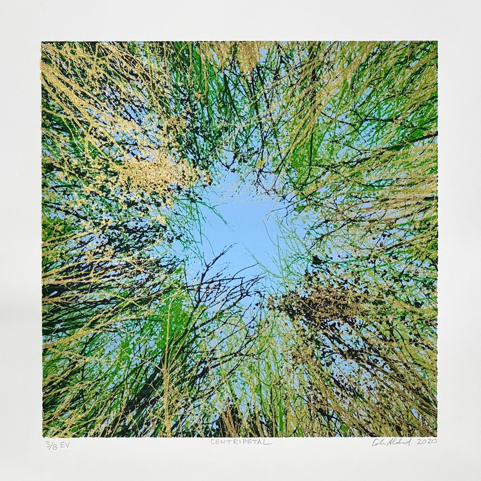Centripetal 3