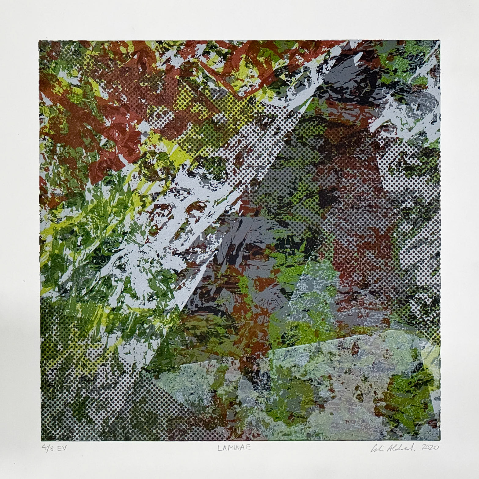 Laminae 4