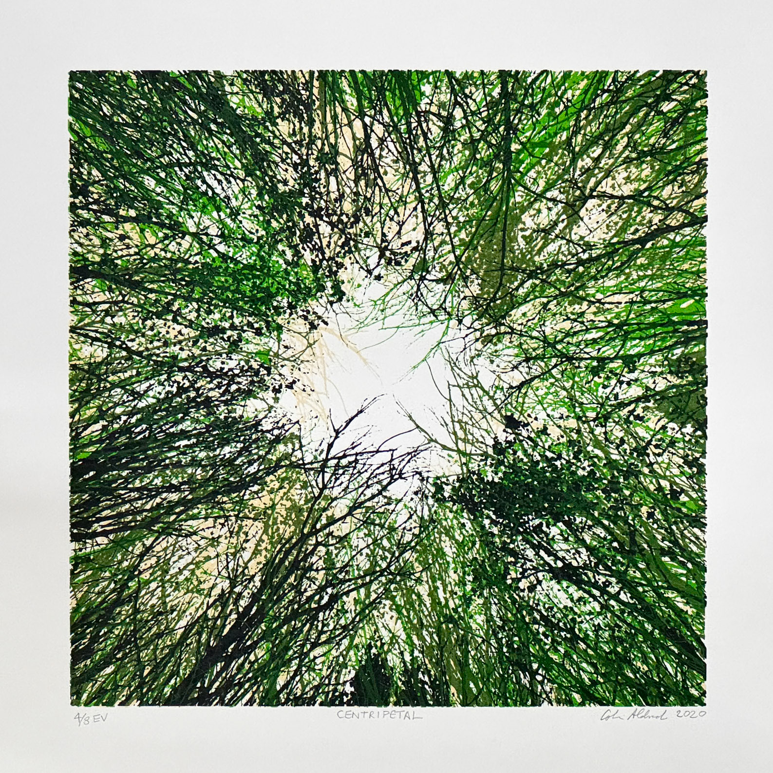 Centripetal 4