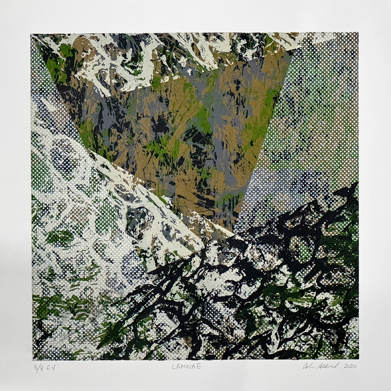 Laminae 8