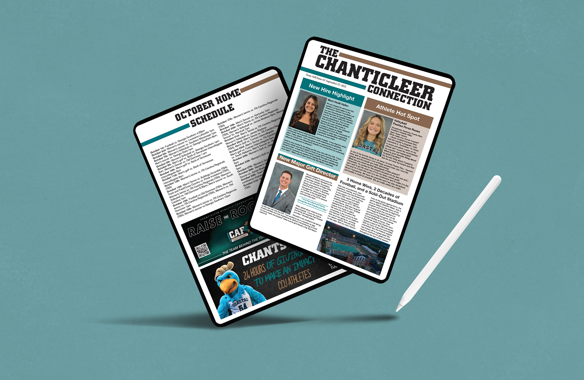 Newsletter Layout