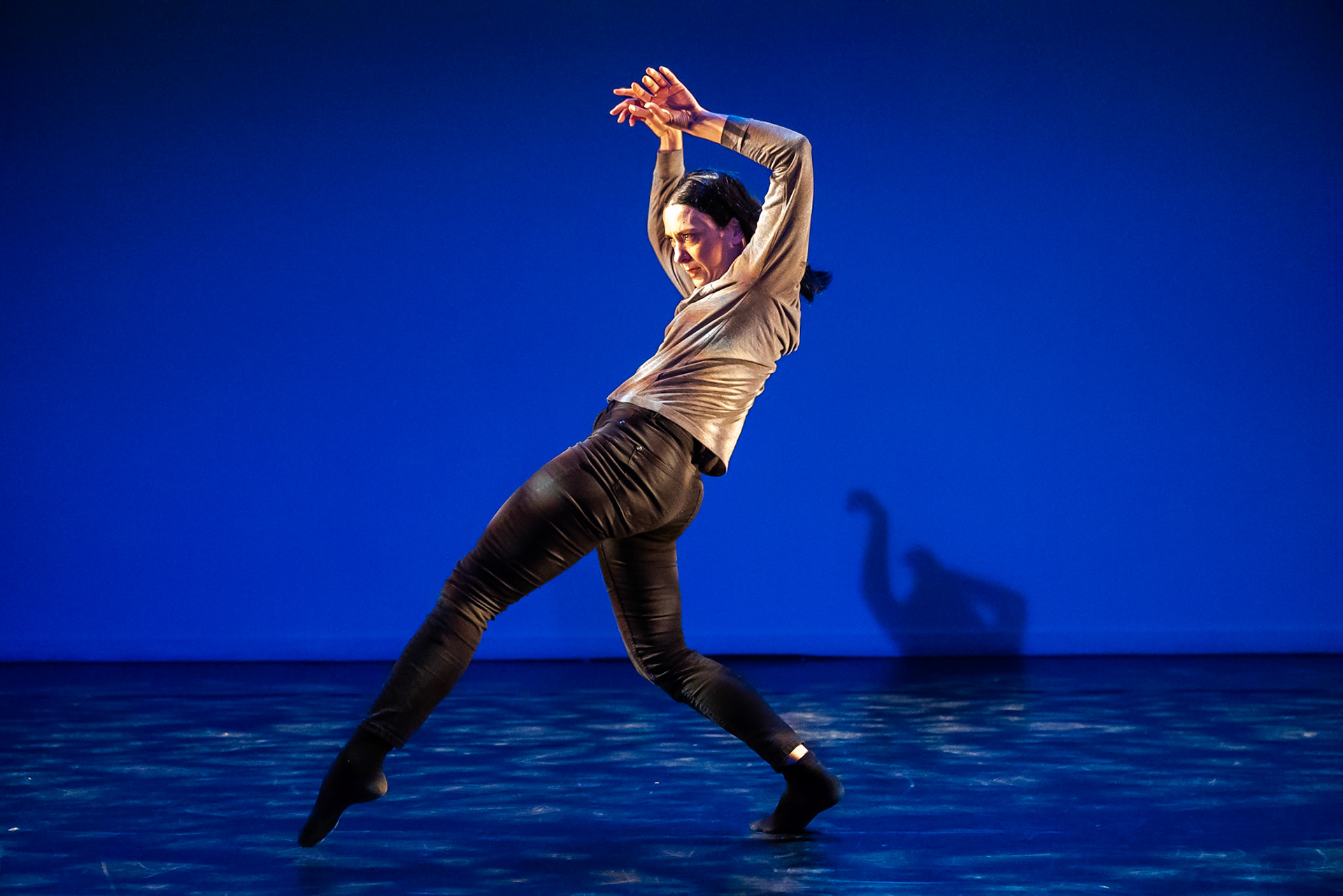 Vivo Ballet; Choreography by Enzo Celli; Performed by Elisabetta Minutoli and Michael Wright