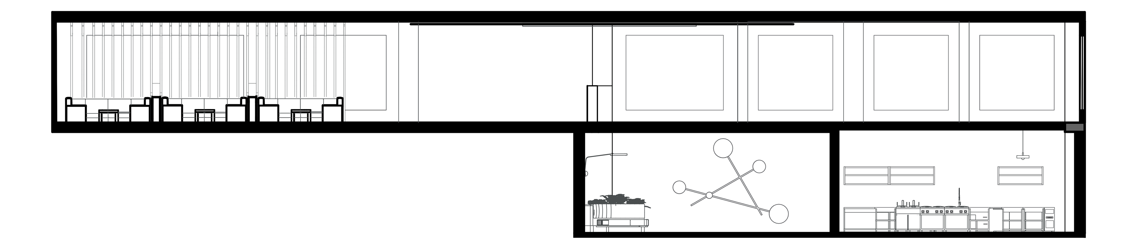 Section Elevation 1