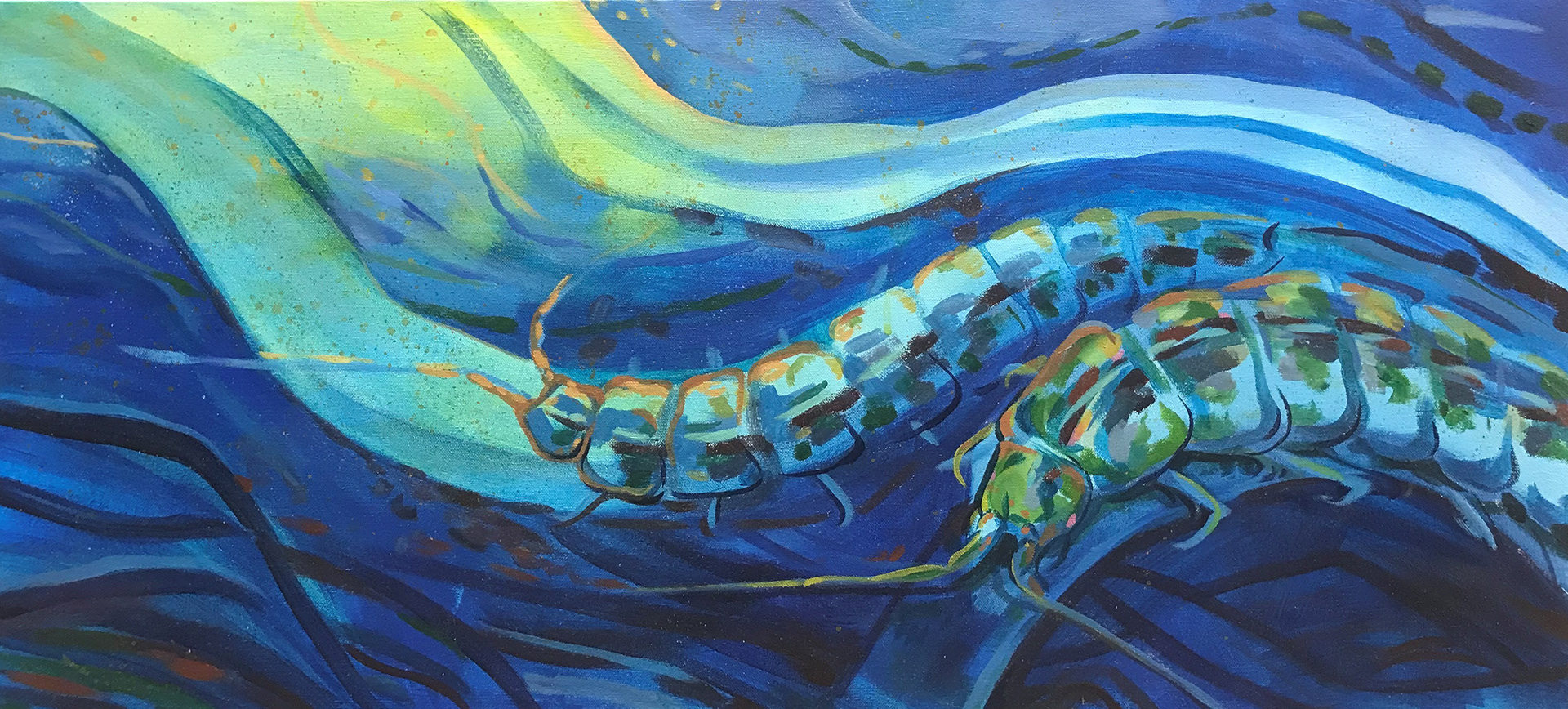 Isopod Currents 16 x 35in. Acrylic on canvas (2023)
