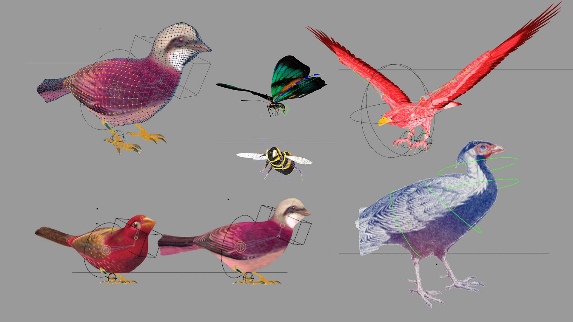 Various Rigs