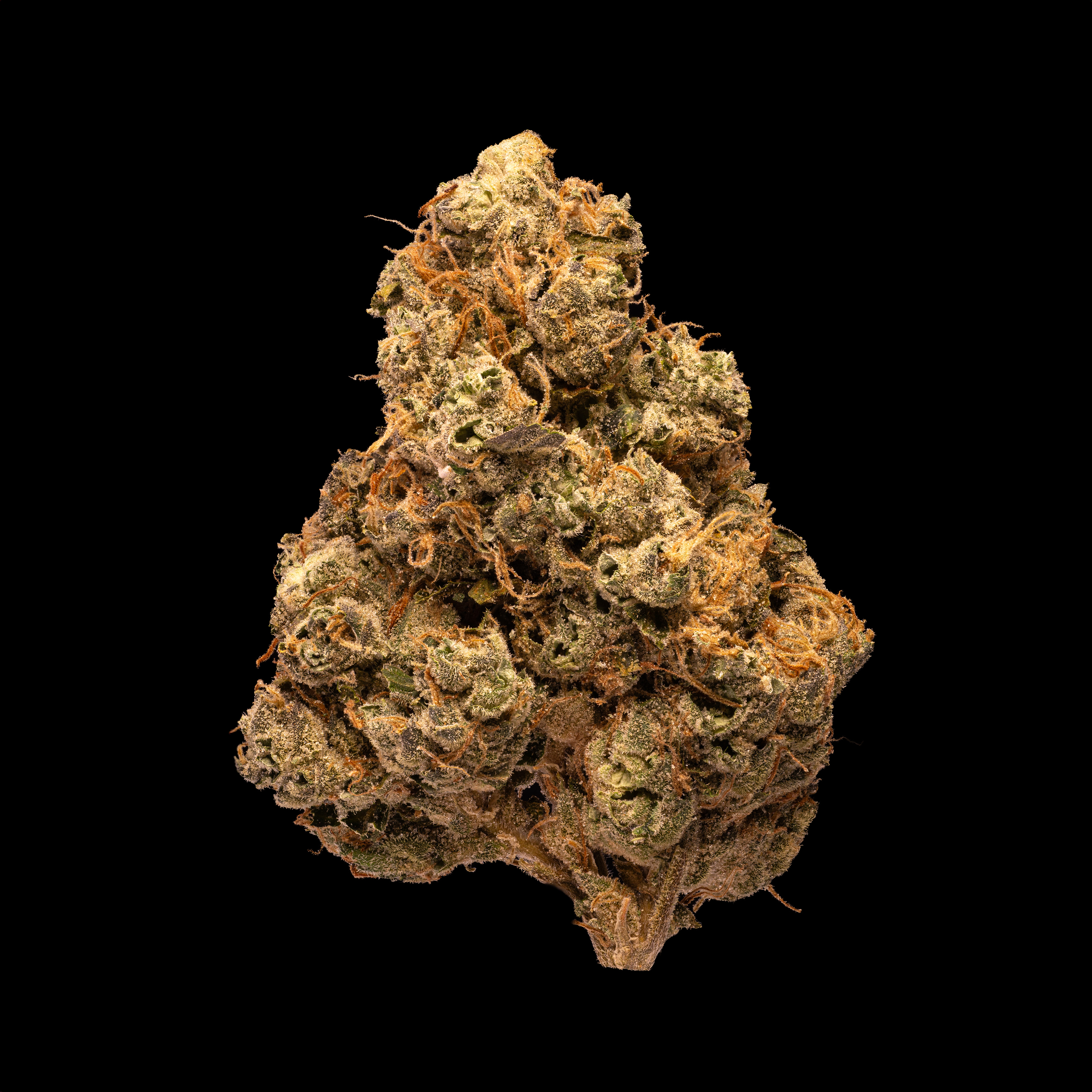 Sour Diesel - Hamilton Farms