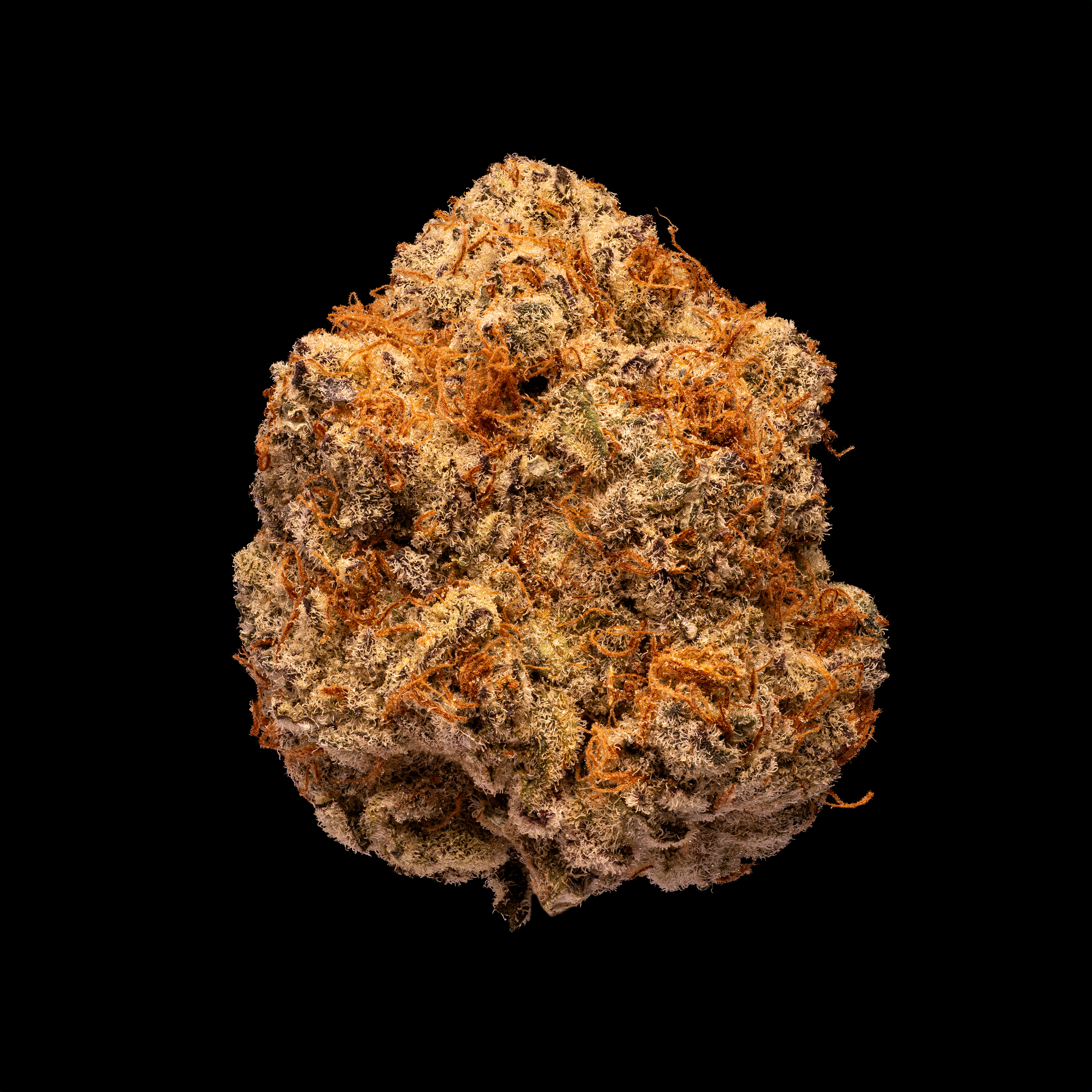 Evan's OG Kush - Hamilton Farms