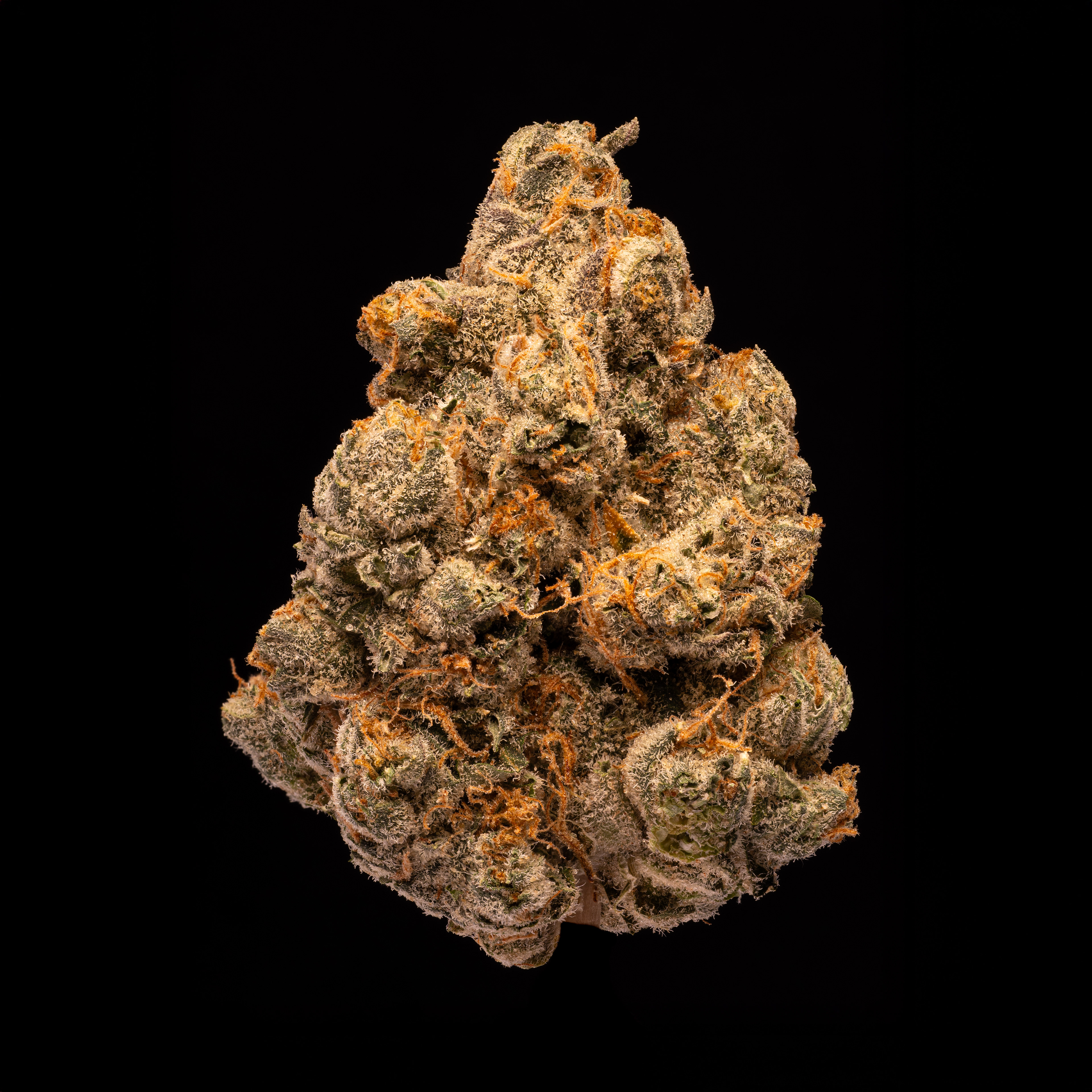 Hawaiian Snow Cone - Hamilton Farms