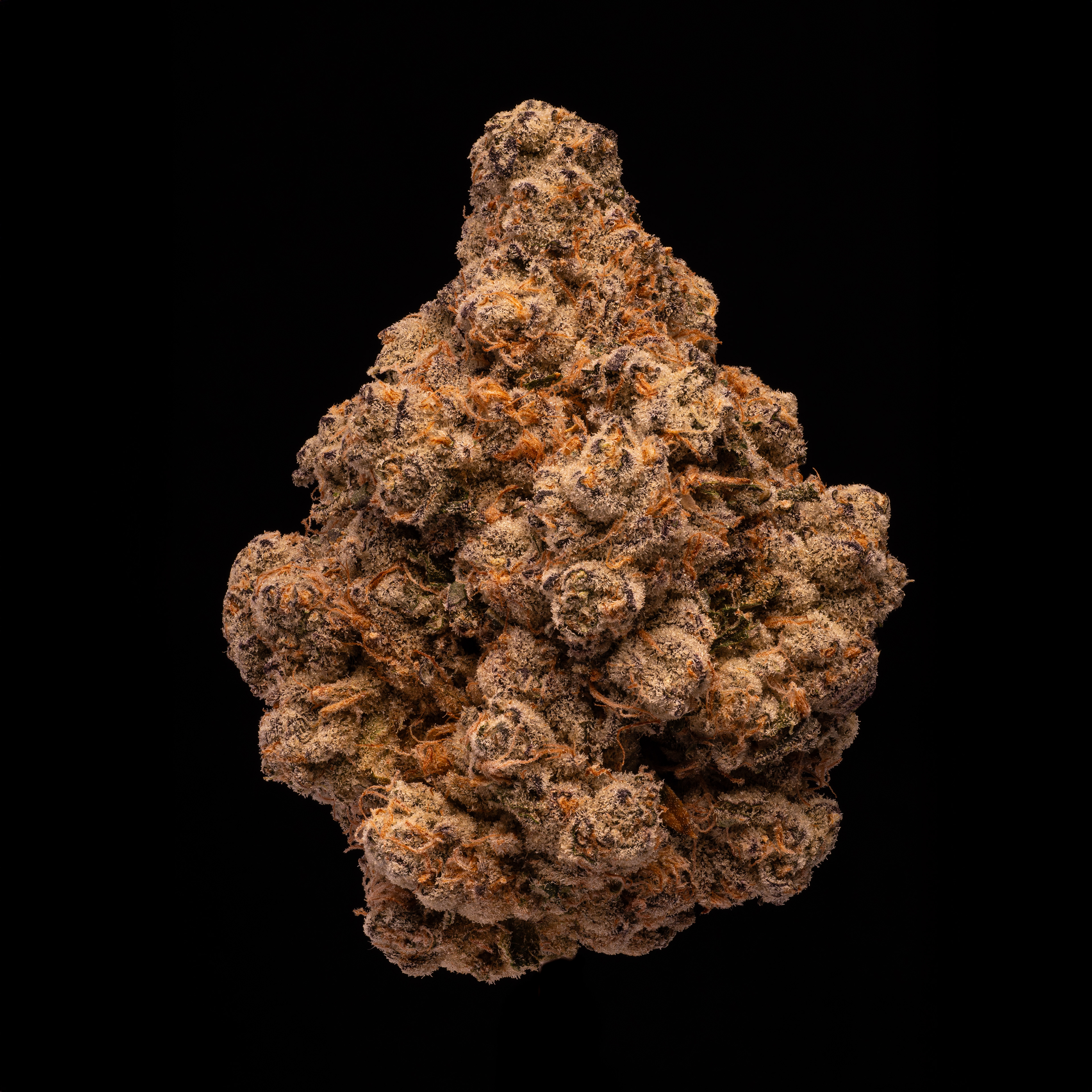 Yodanana - Hamilton Farms