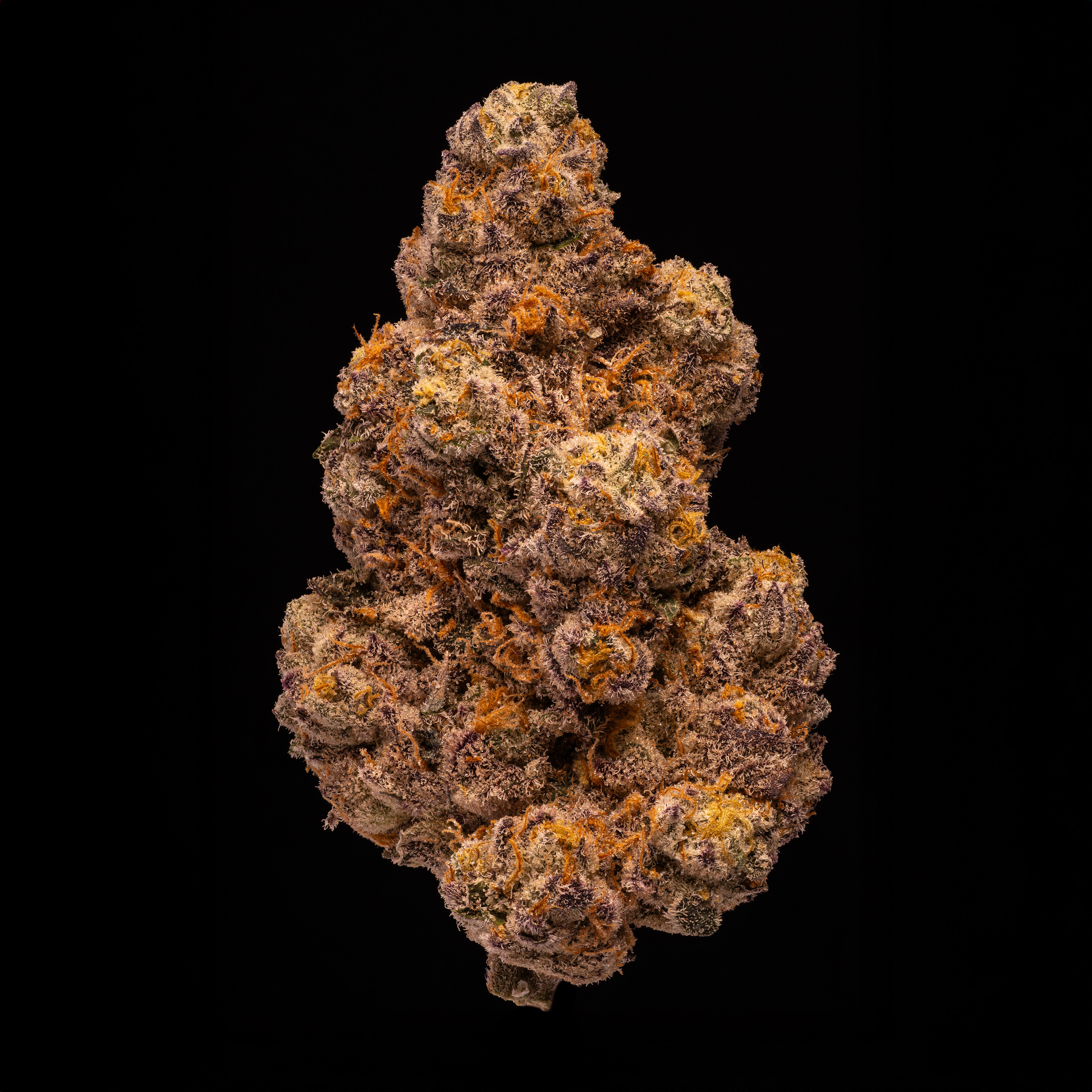 Modified Gary - Hamilton Farms