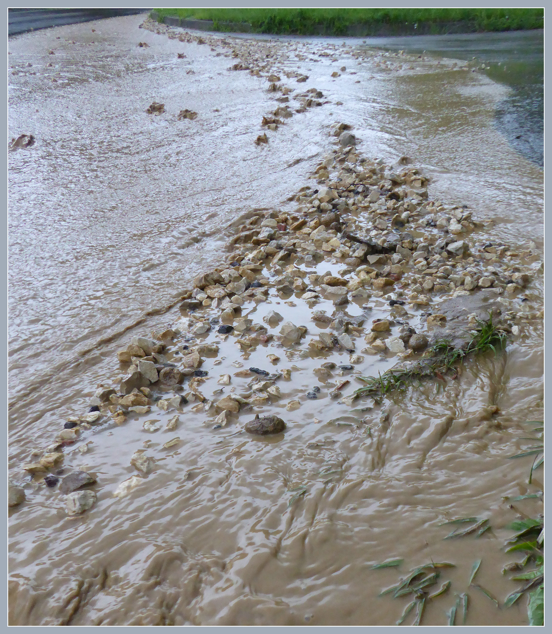 Wasser