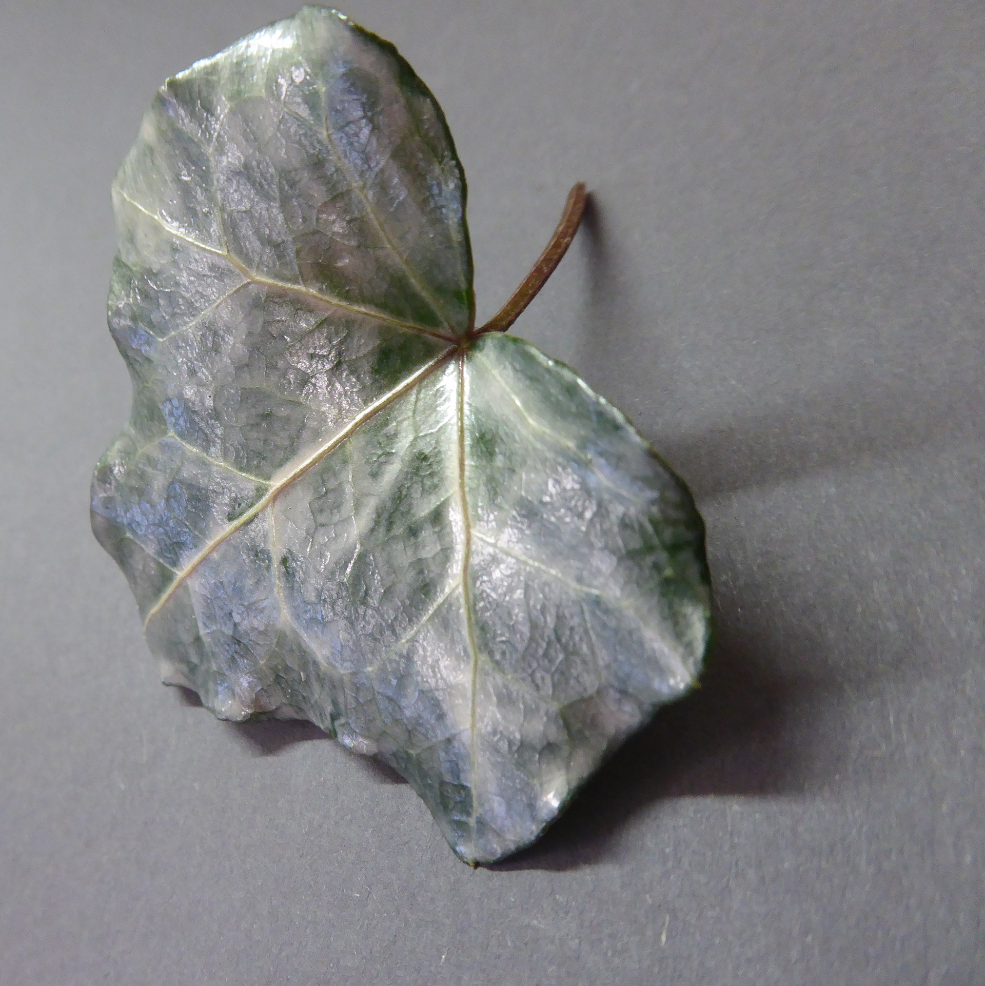 Blatt