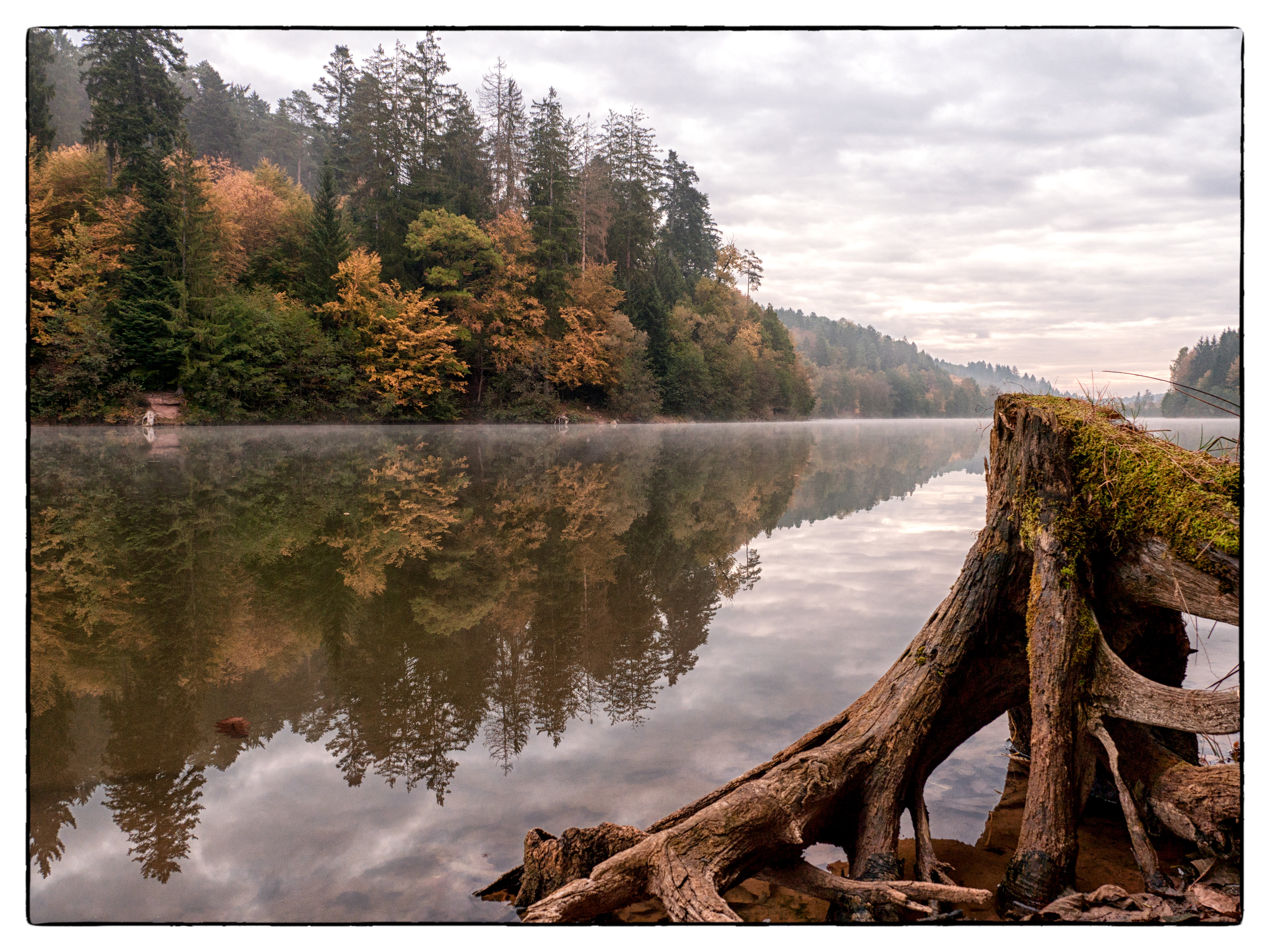 Nebel über dem See
