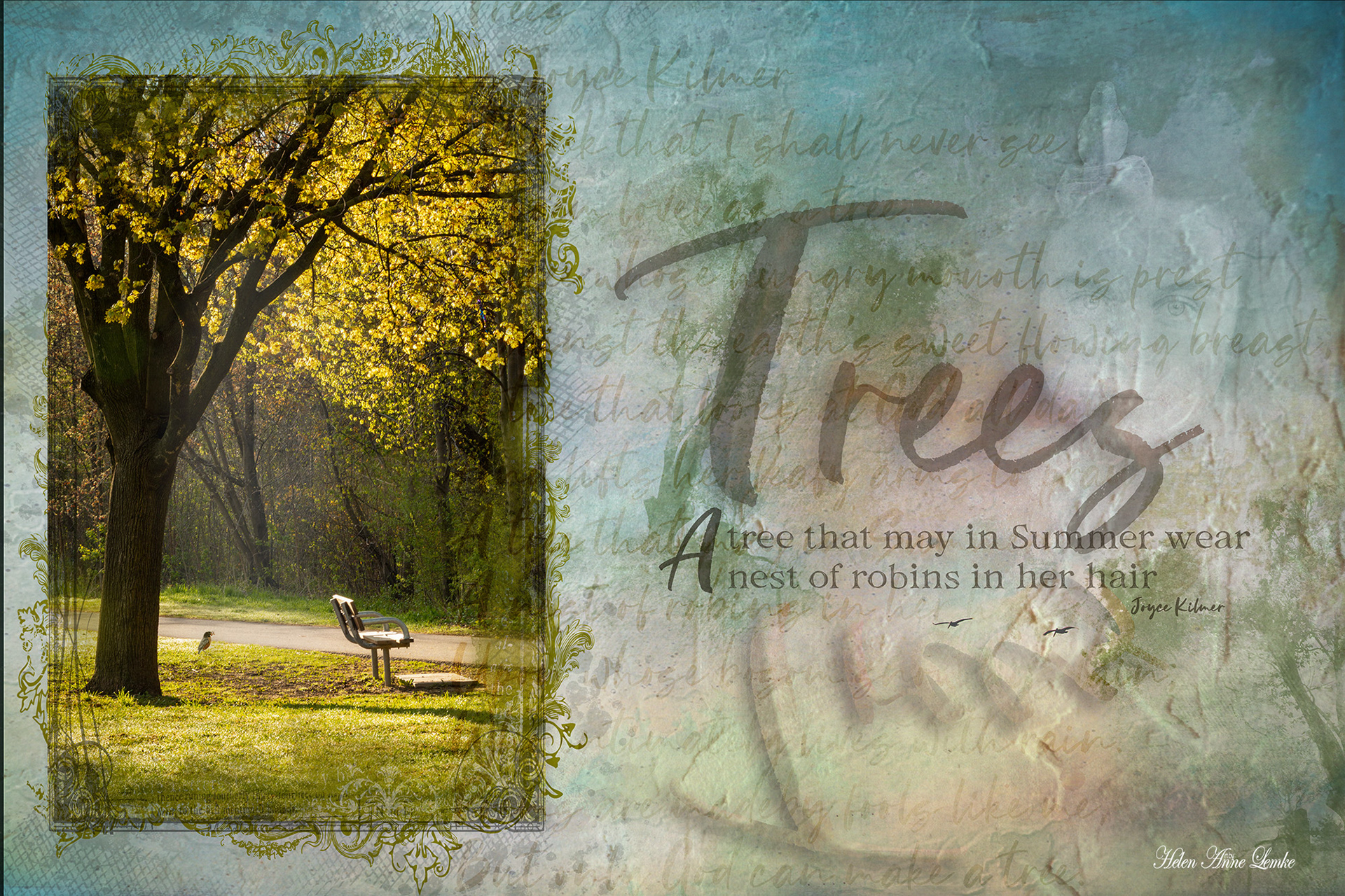 Inspired by the poem Trees by Joyce Kilmer