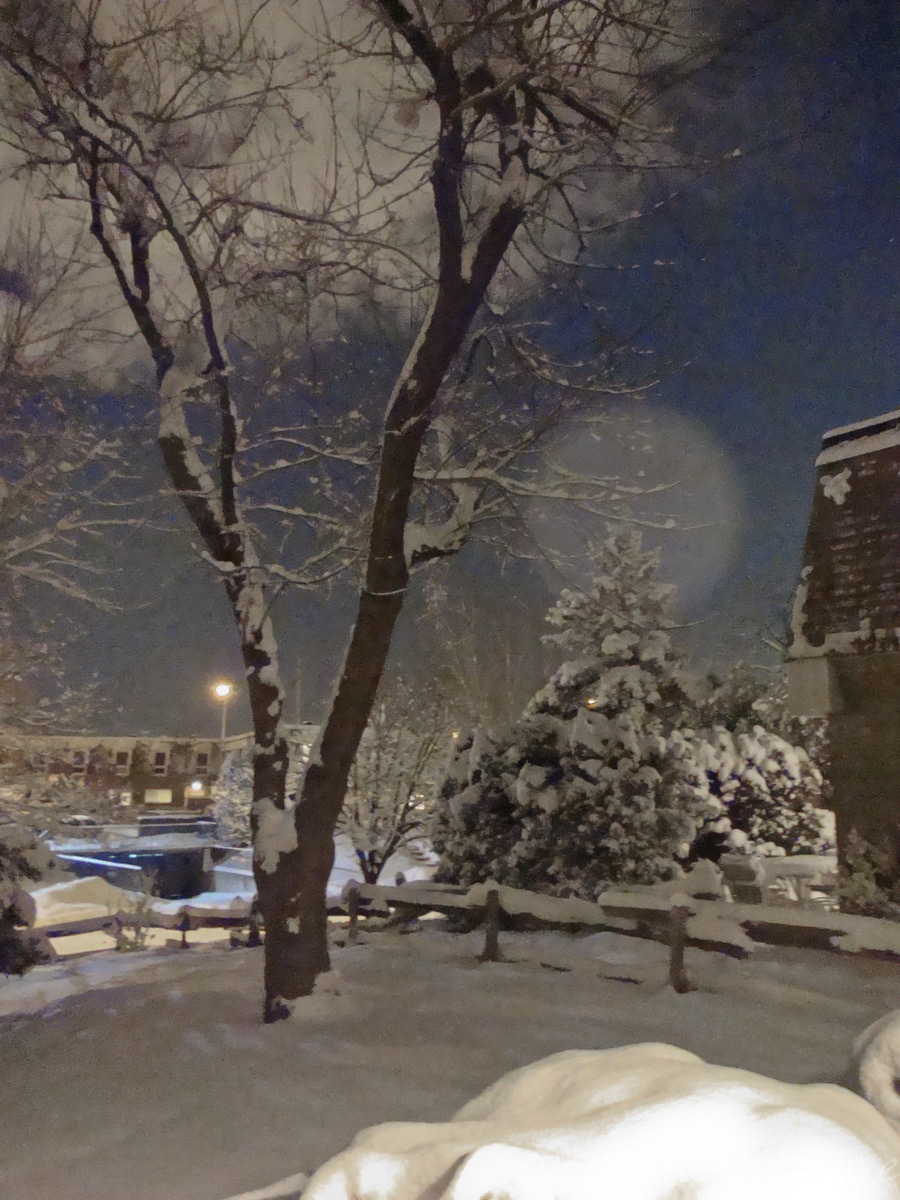 View from home