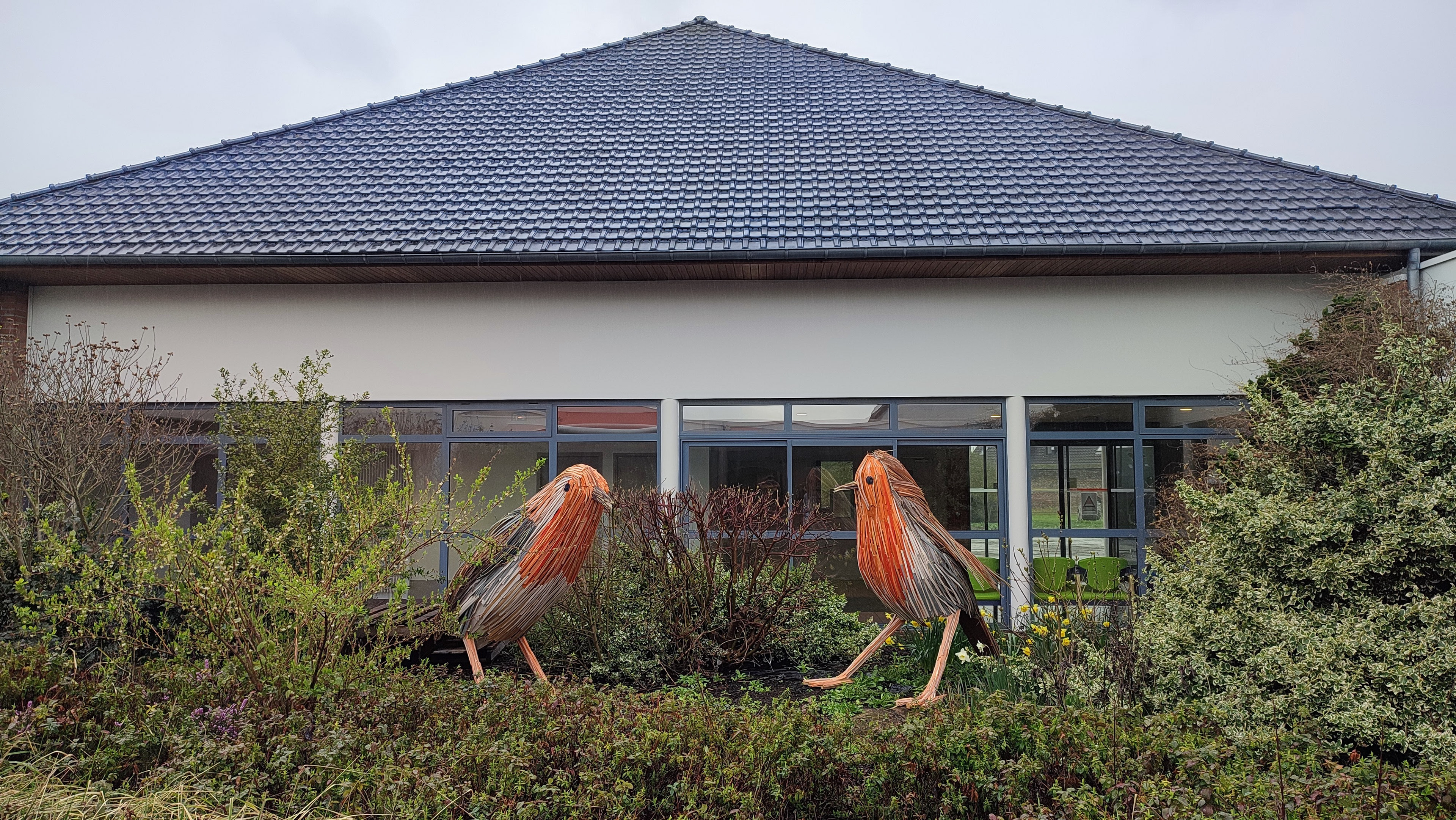 Rouge gorge - MAS (Maison d'Accueil Spécialisée) de Marquette-Lez-Lille