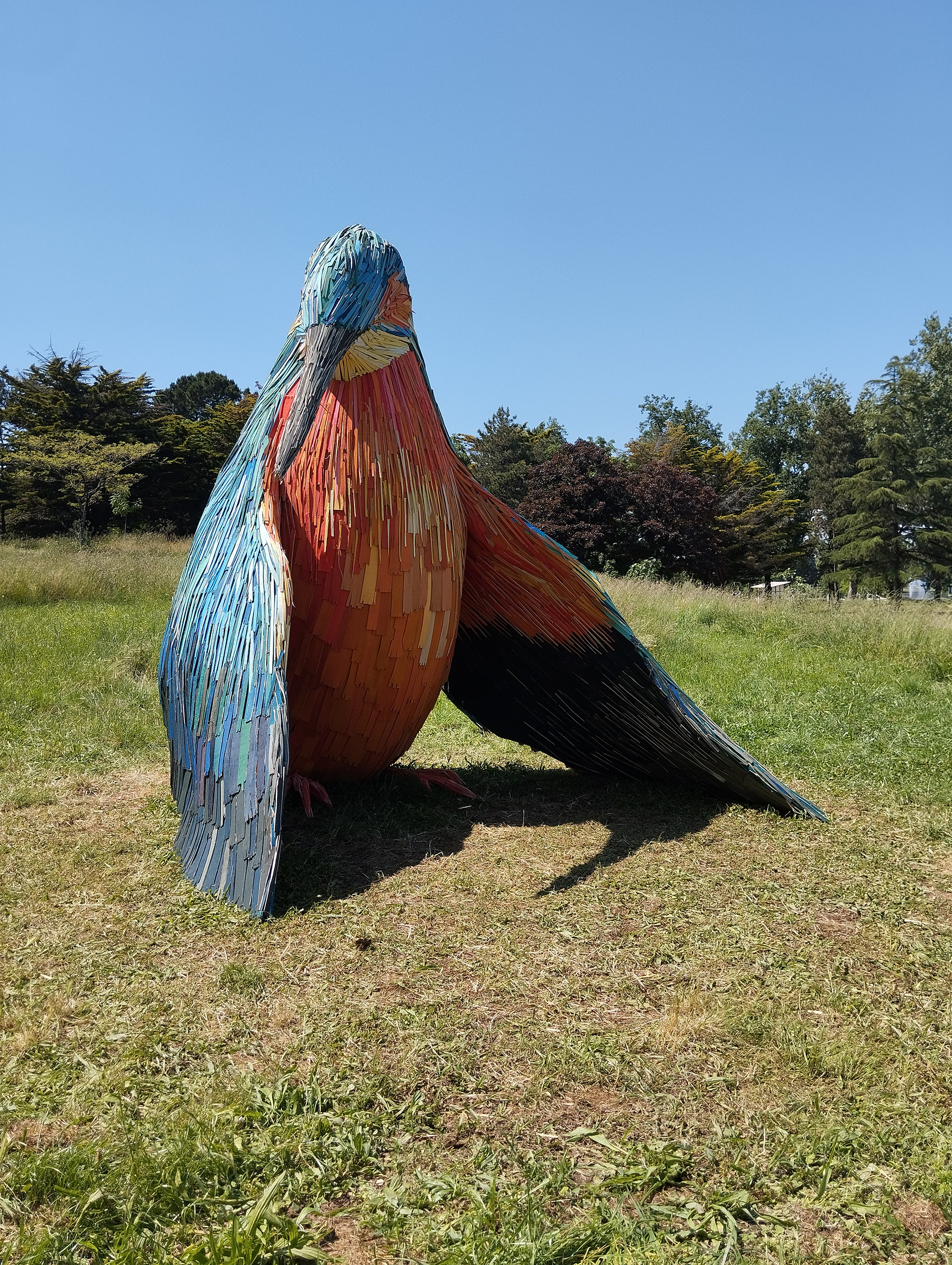 Martin Pêcheur - Saint-Nazaire