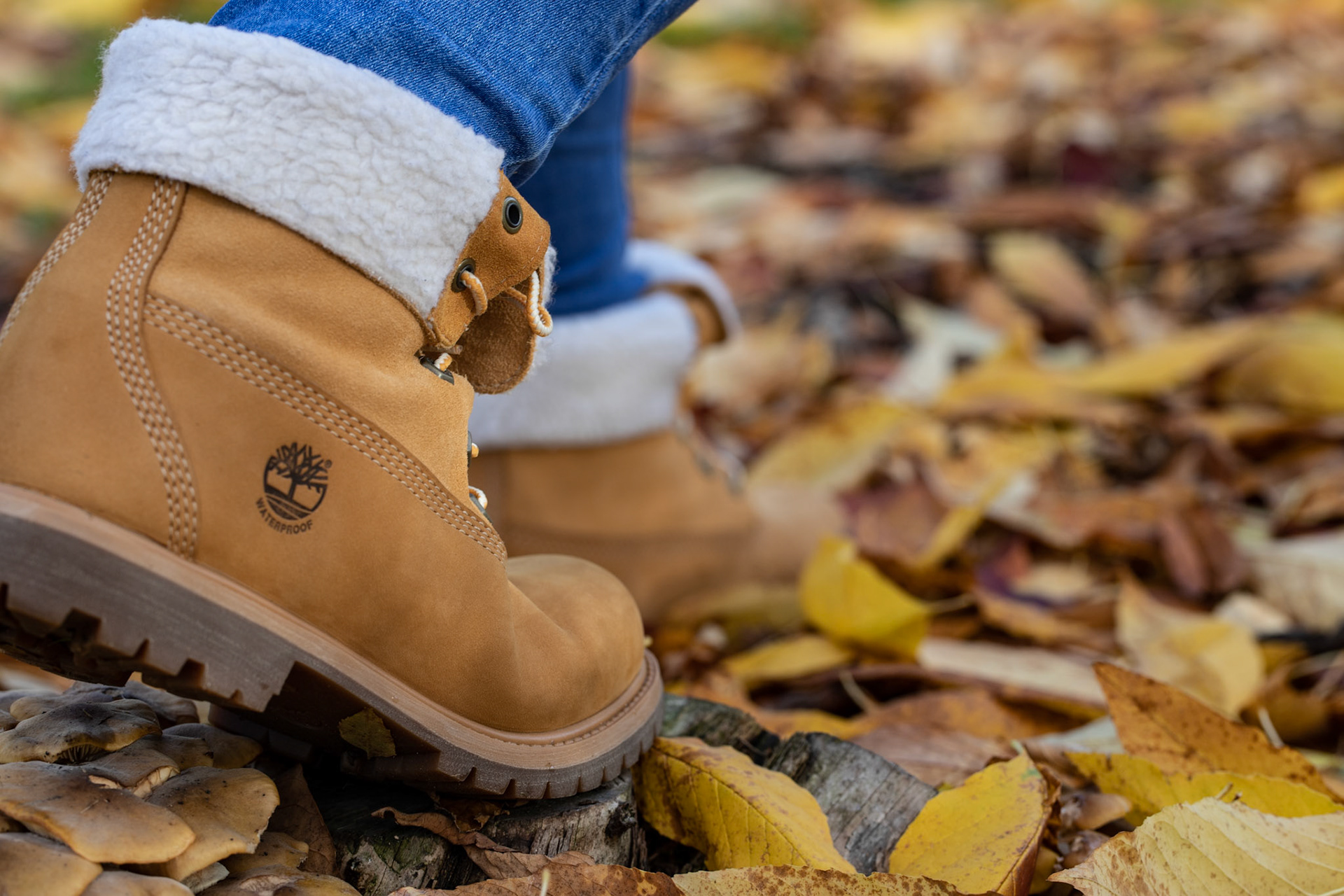 Autumn in Kew Gardens