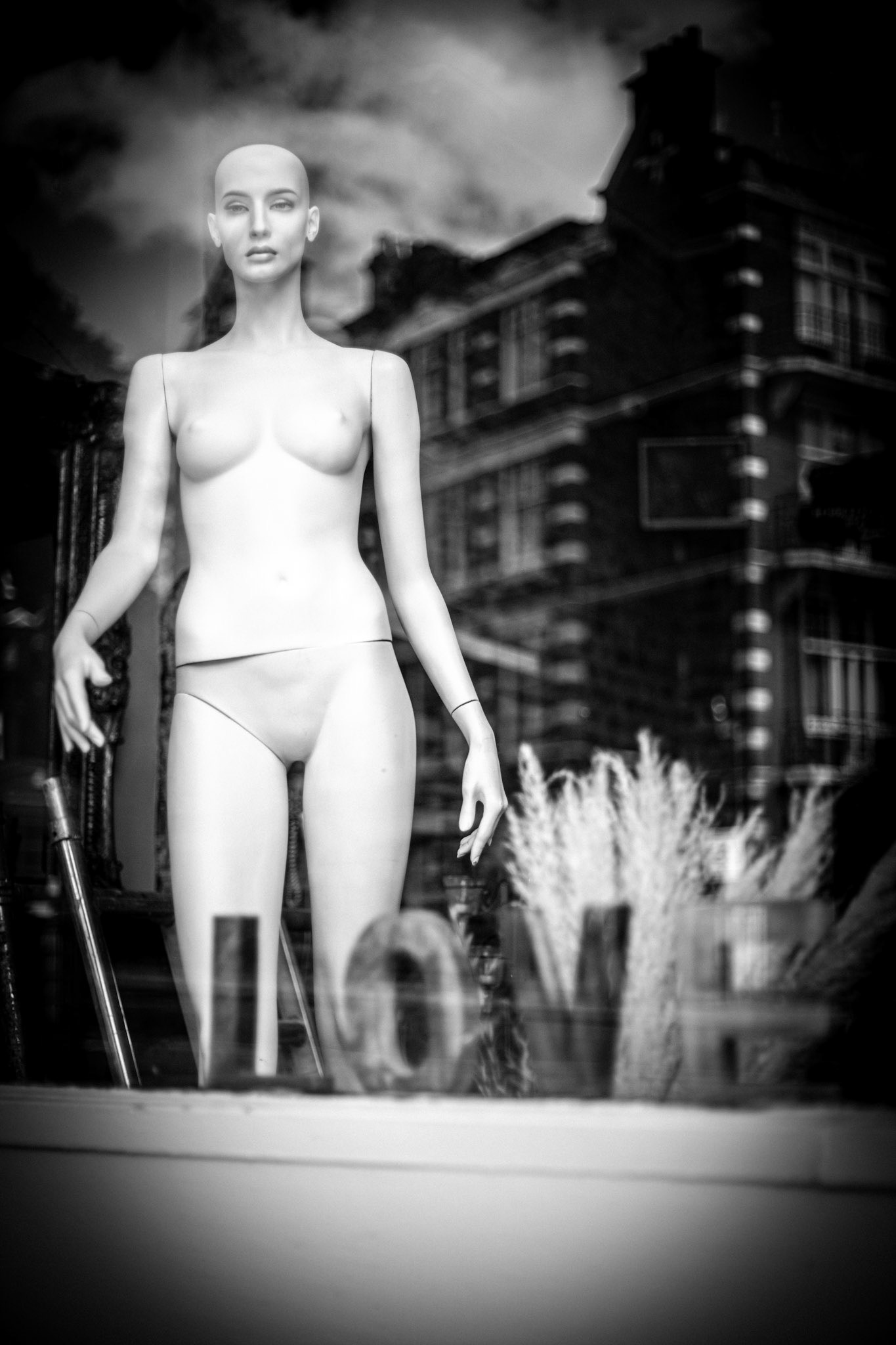 Puppet of the street, Twickenham