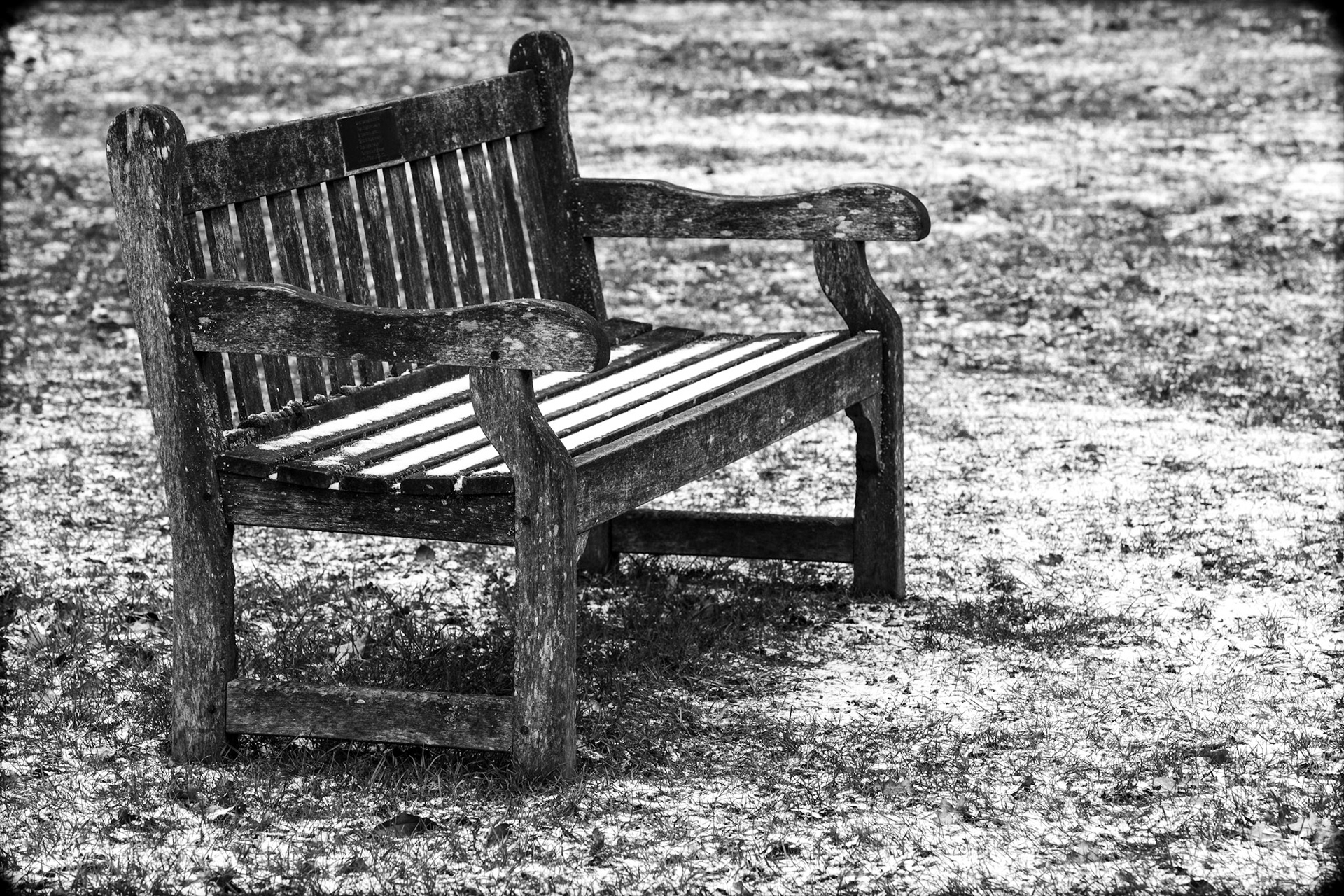 Winter in the garden, Kew Gardens