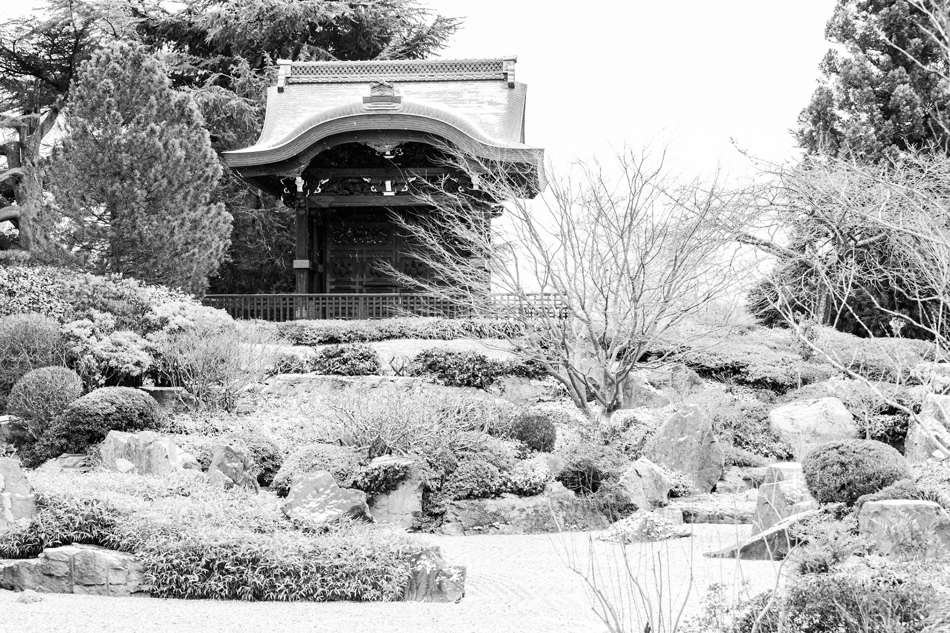 Winter in the garden, Kew Gardens