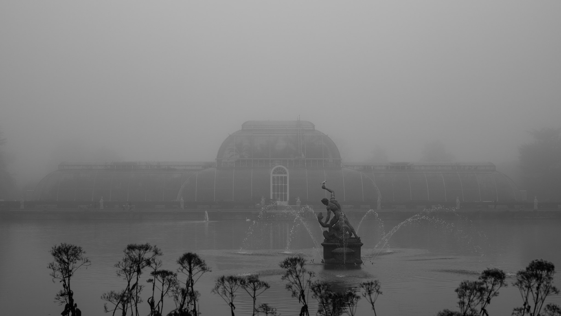 Palm house in the fog of autumn, Kew Gardens