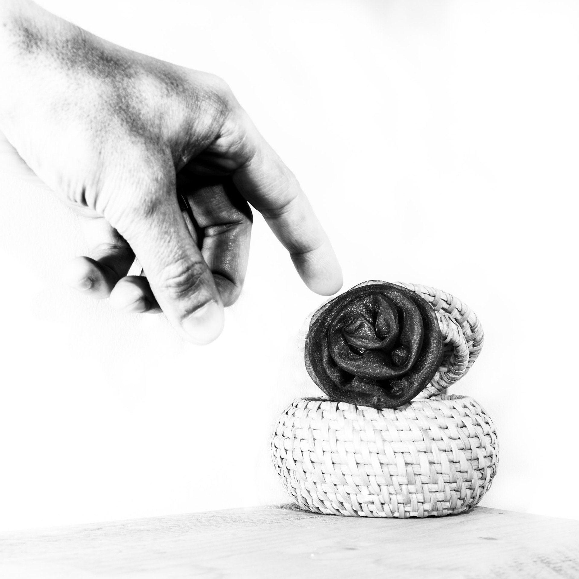 Hand and the rose in a box, Kew