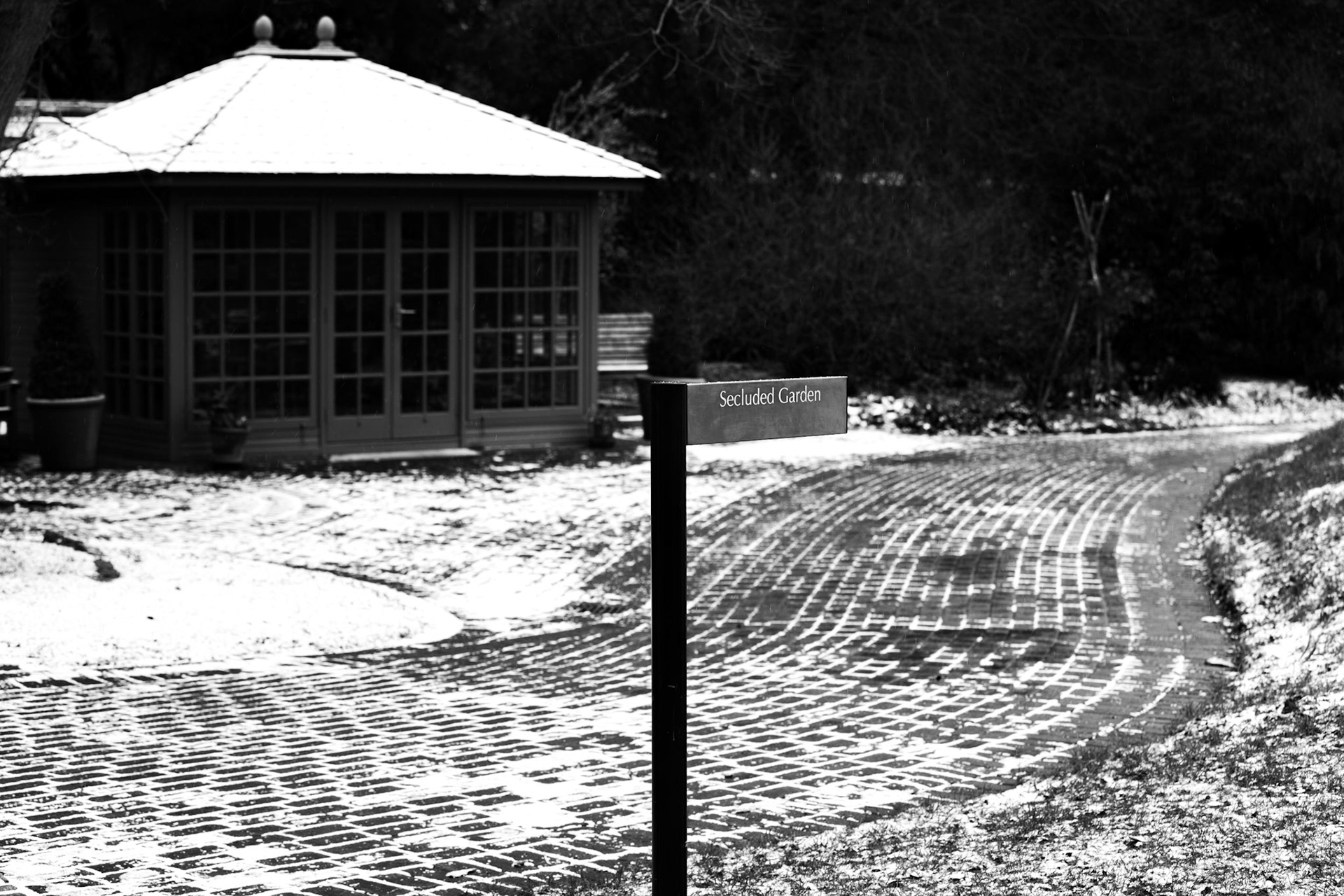 Winter in the garden, Kew Gardens