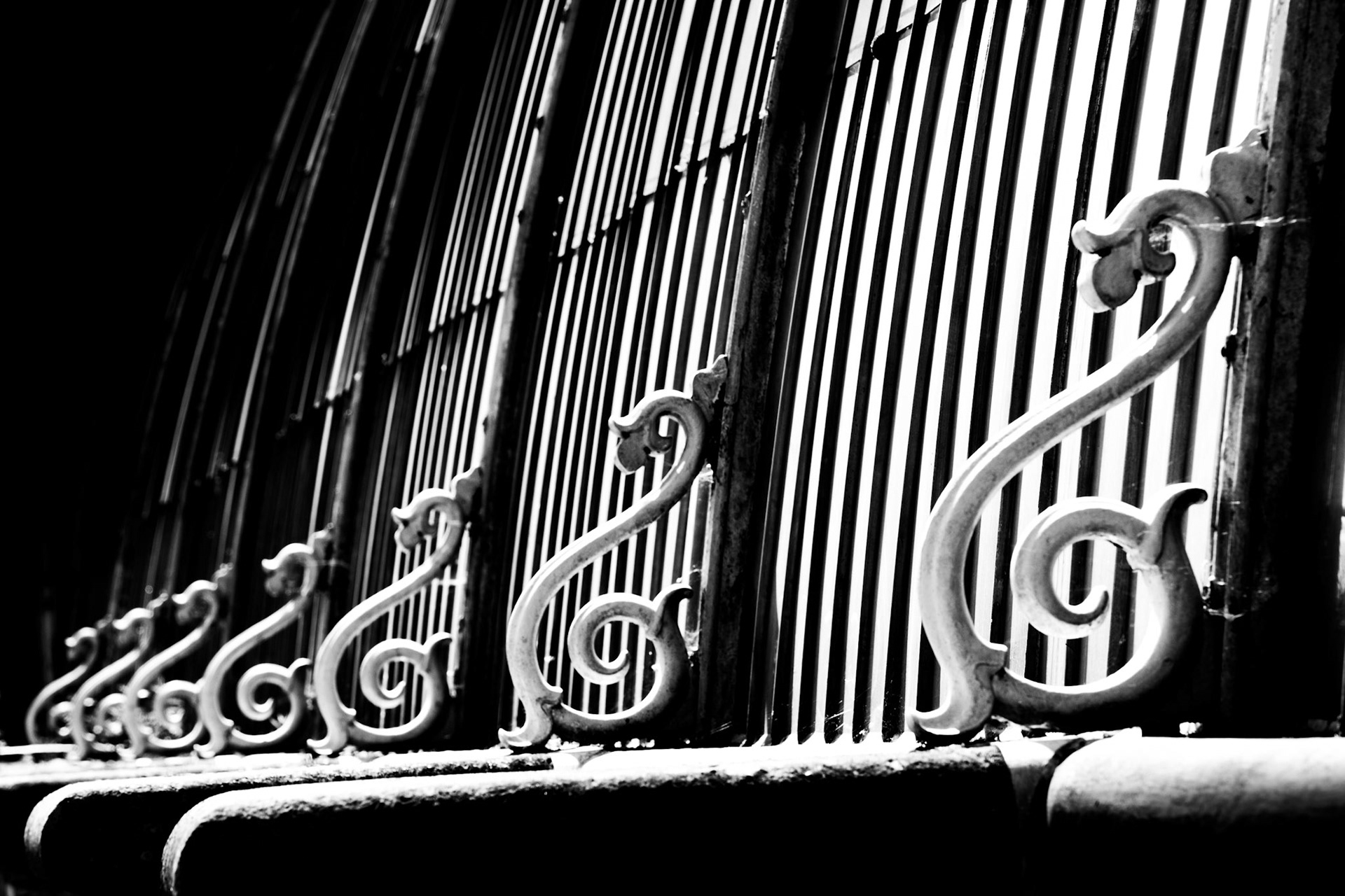Descending ornaments of the Palm House, Kew Gardens