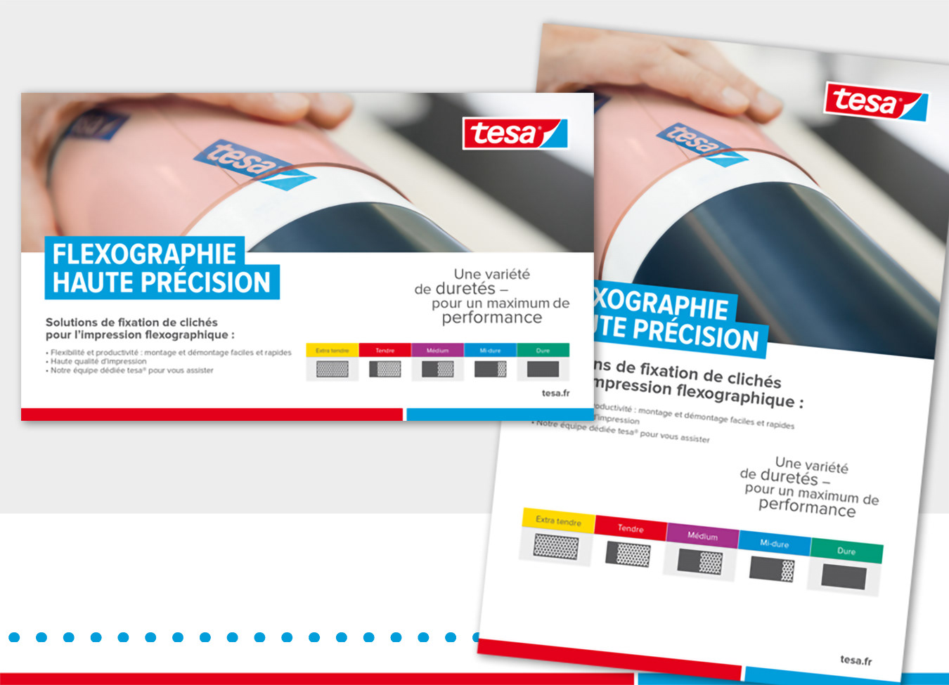 Annonces Société "tesa" Déclinaisons différents formats