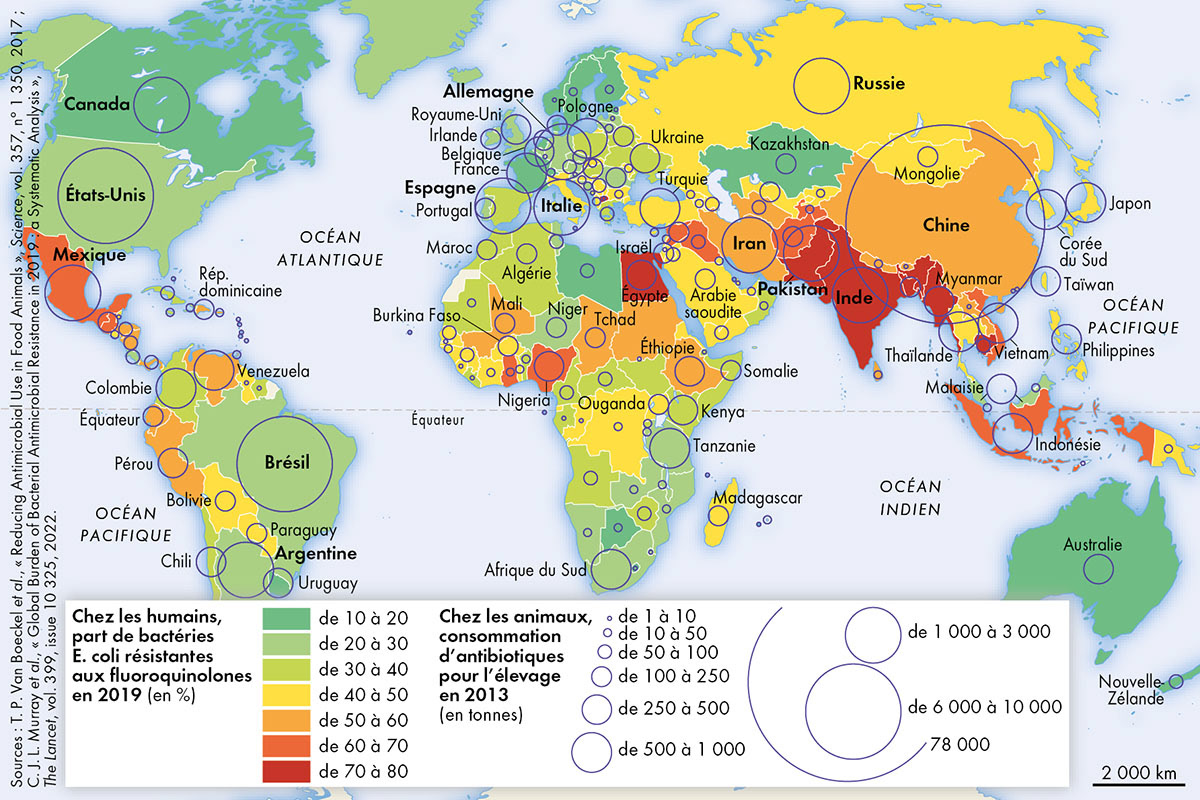 Les bactéries résistantes aux antibiotiques, une pandémie animale et humaine • Atlas historique des épidémies • Éditions Autrement • Cartographie Fabrice Le Goff