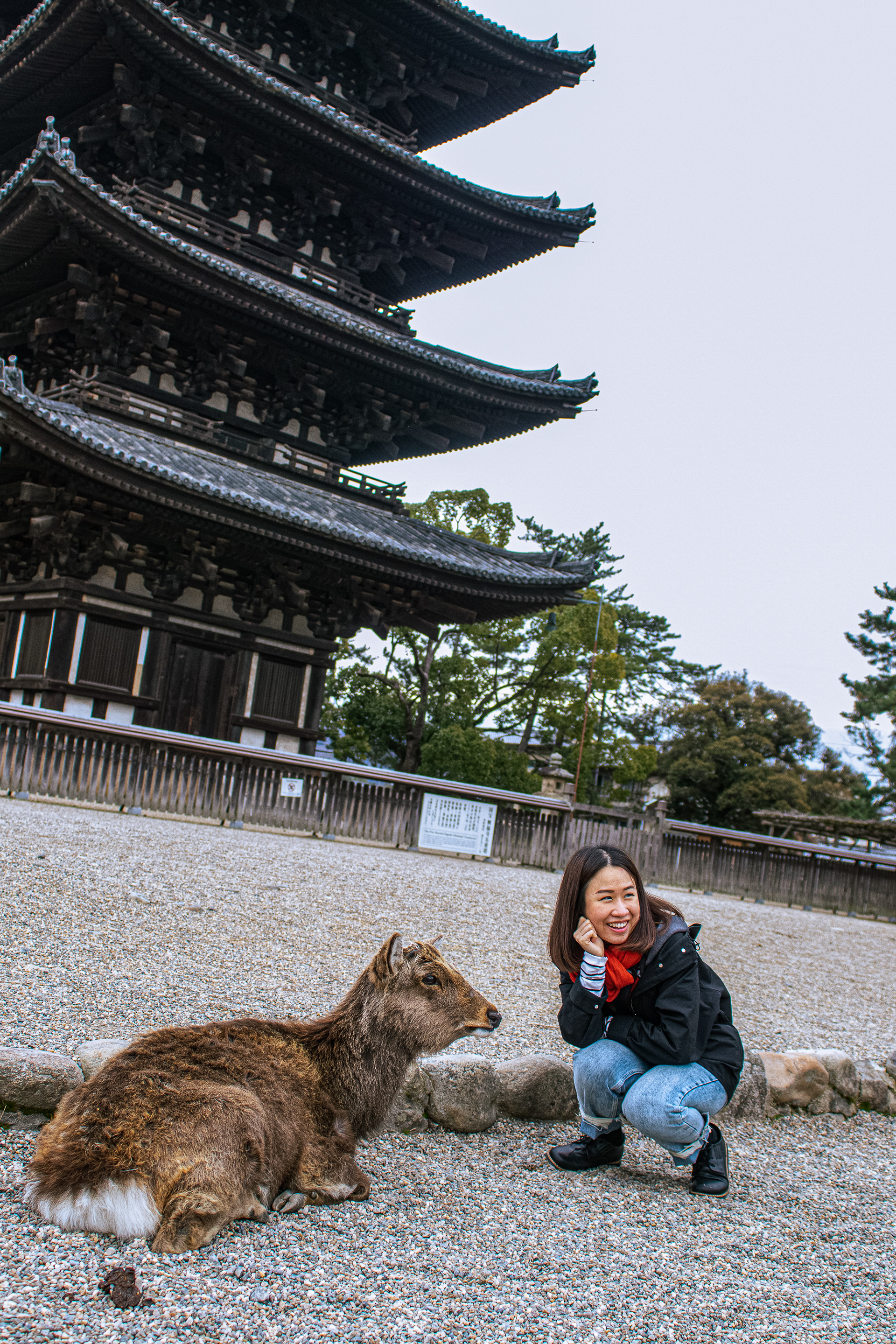 Nara, Japan. 2020.