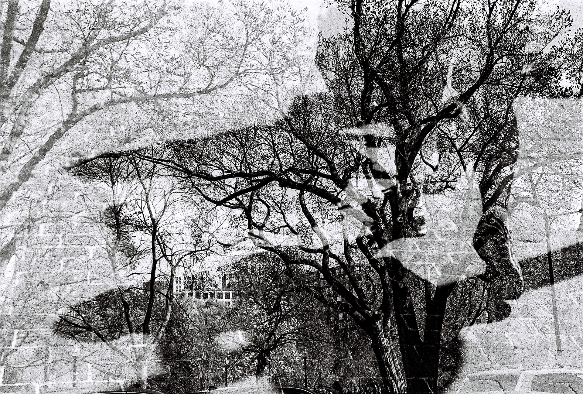 Boston, double exposure. 2021.
