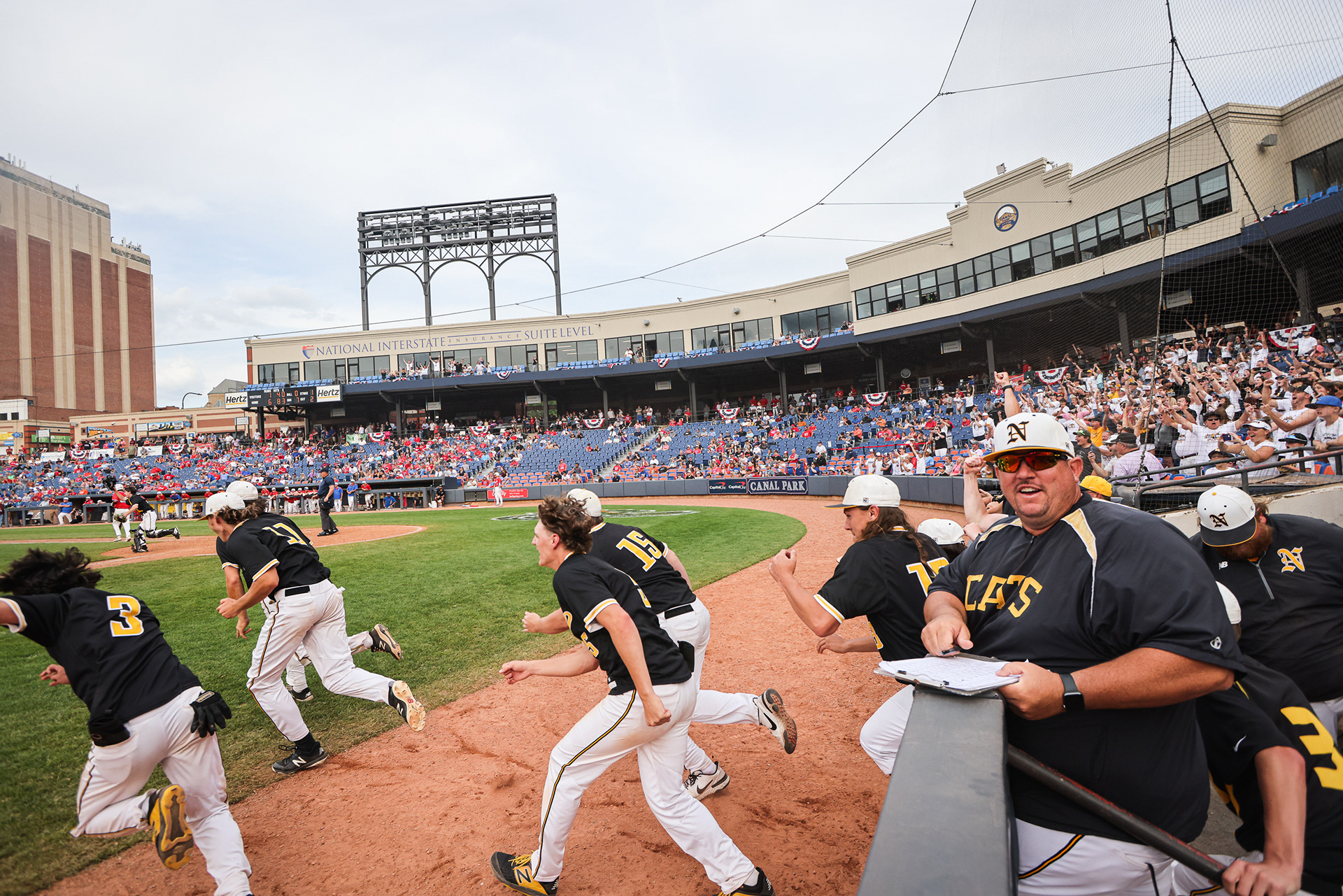 Sylvania Northview wildcats storm the field after winning 6-1 against the Grove City greyhounds at the OHSAA Division I baseball state finals in Akron, Ohio on Saturday, June 11, 2022. For Toledo Blade.