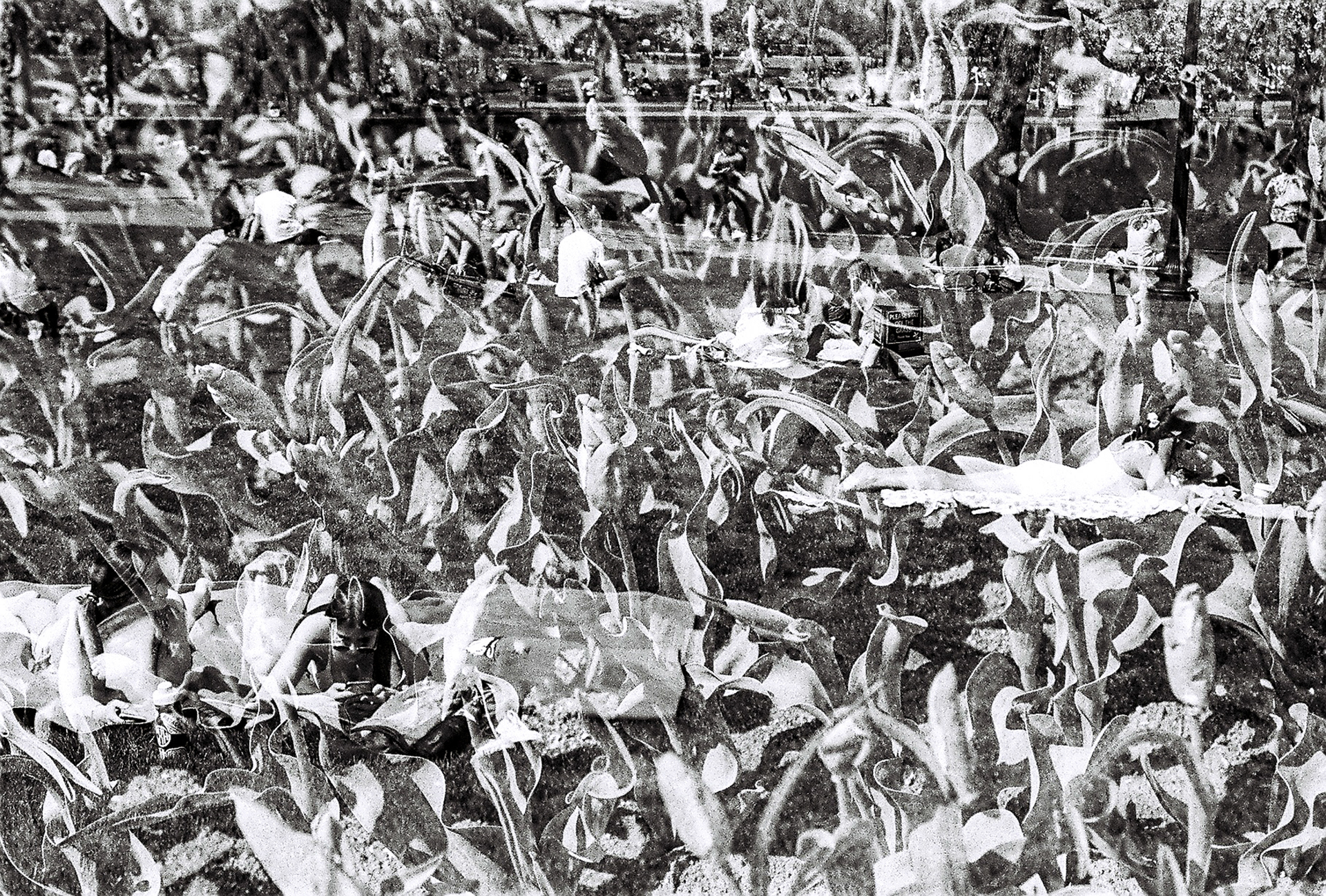 Boston, double exposure. 2021.