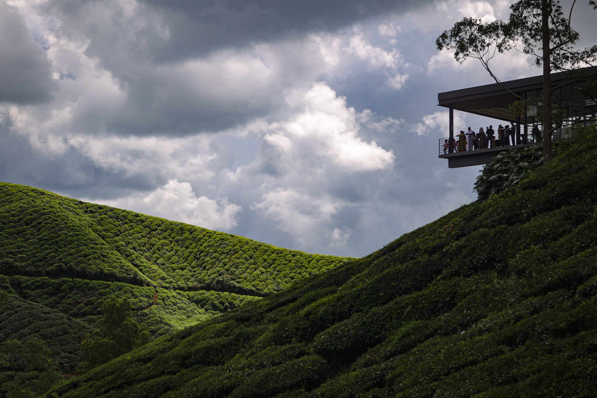 Cameron Highlands, Malaysia