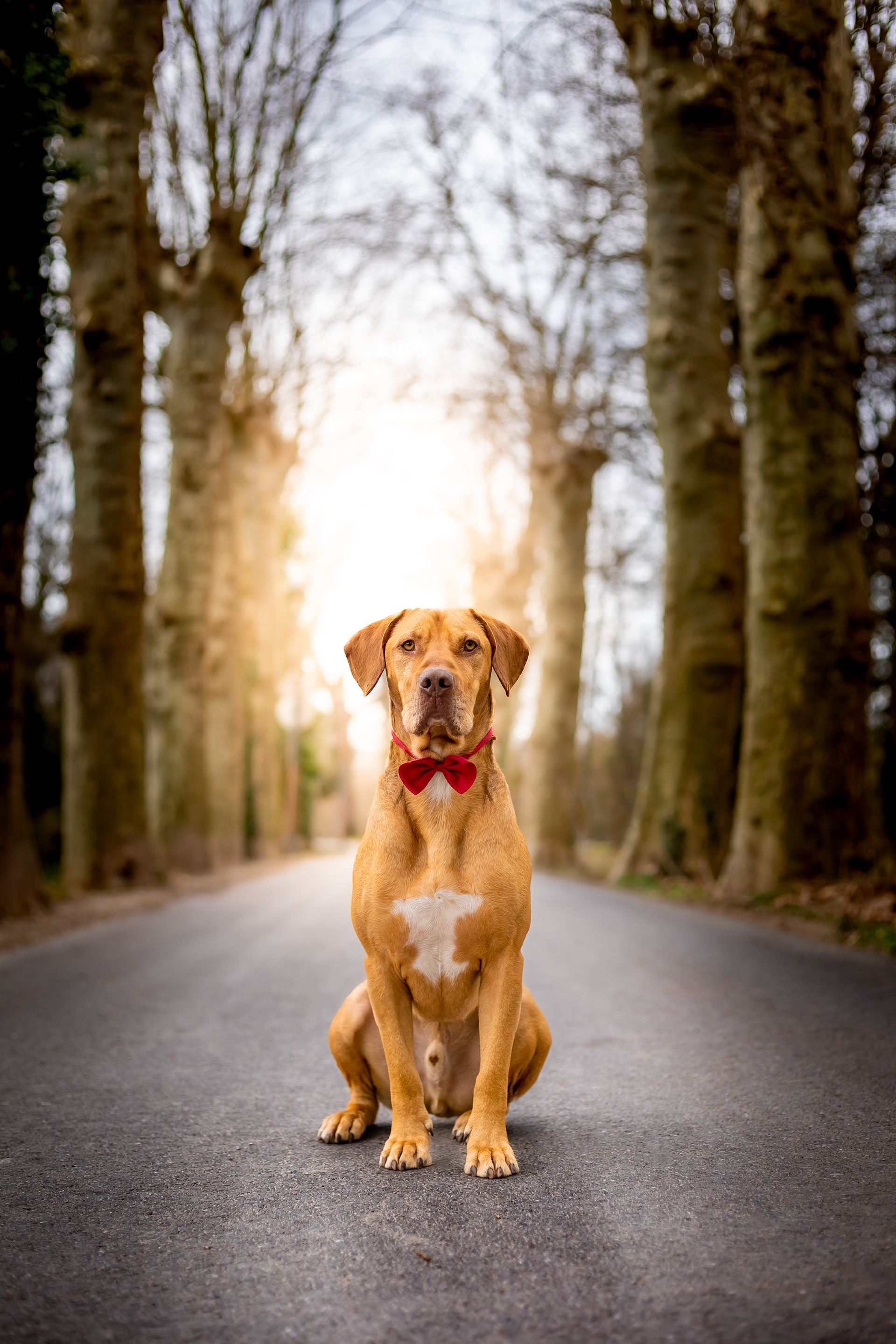 Shooting avec Milo et Ava